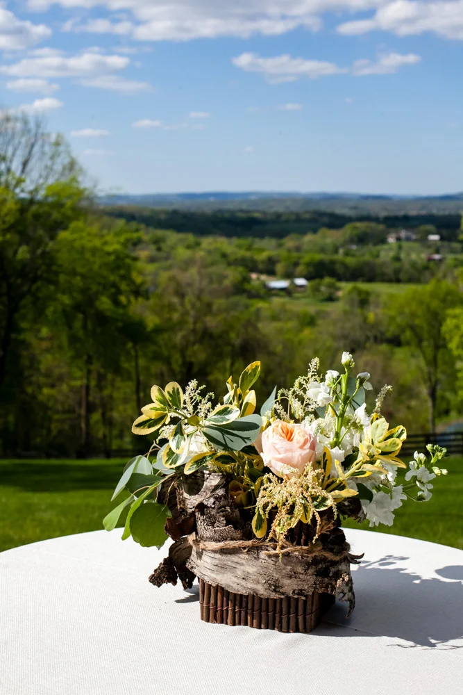 fetenashville.com | Franklin Wedding at Trinity View Farm | Shawn Johnson Gets Married to Andrew East | Fete Nashville Wedding Planning and Design | best wedding planner | nashville best wedding planner | Luxury Weddings | Celebrity Wedding Planner | greenery hanging over head table | lace runner | exposed bulbs | celebrity bride | celebrity groom | farm wedding | farm tables