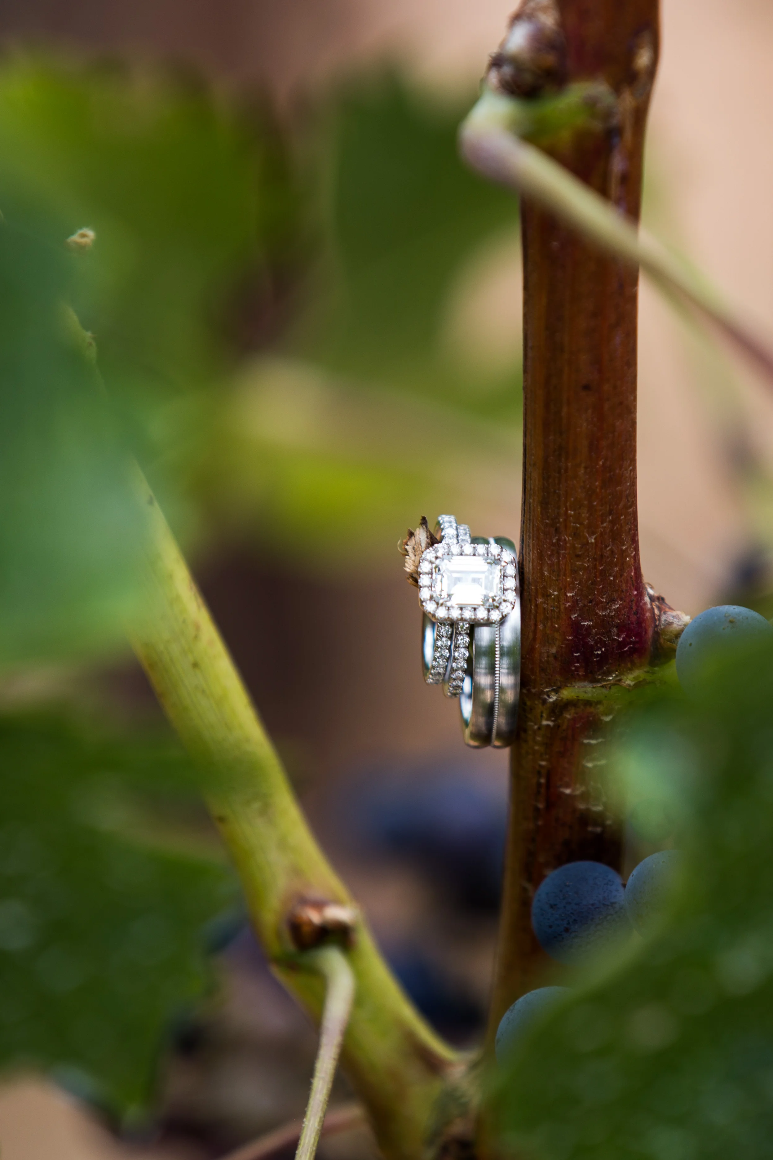 86Napa Valley wedding_Fete Nashville_Bustle&Twine.jpg