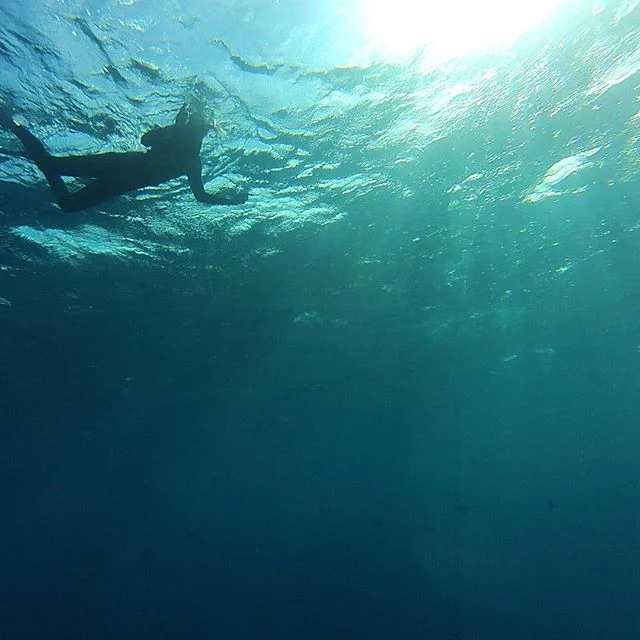Exploring the Hawaiian deep blue.