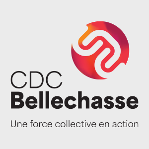 niveau_5_logo_accueil_cdcb.png