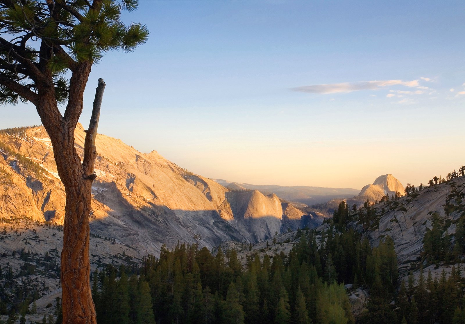 WS-Half-Dome+Yosemite+National+Park+New+Web+copy.jpg