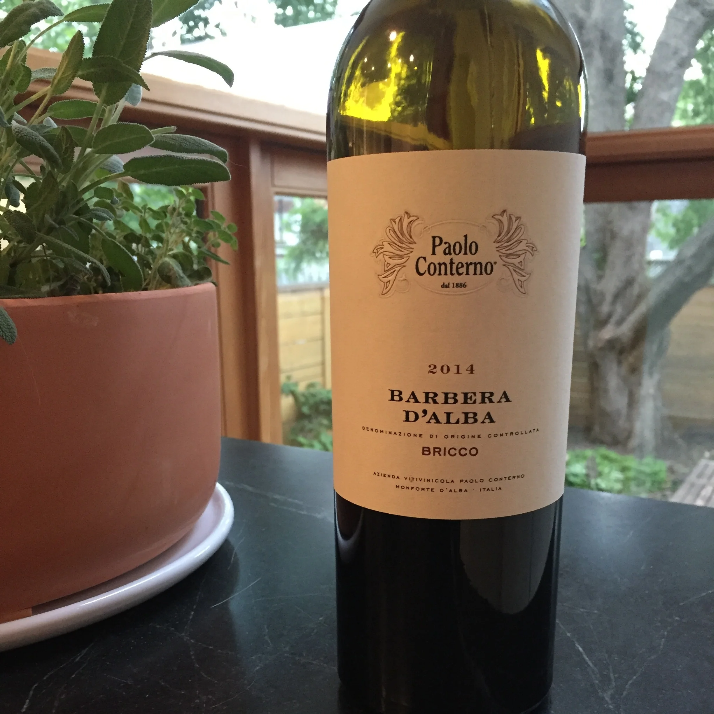 Paolo Conterno Bricco Barbera D'Alba 2014 review