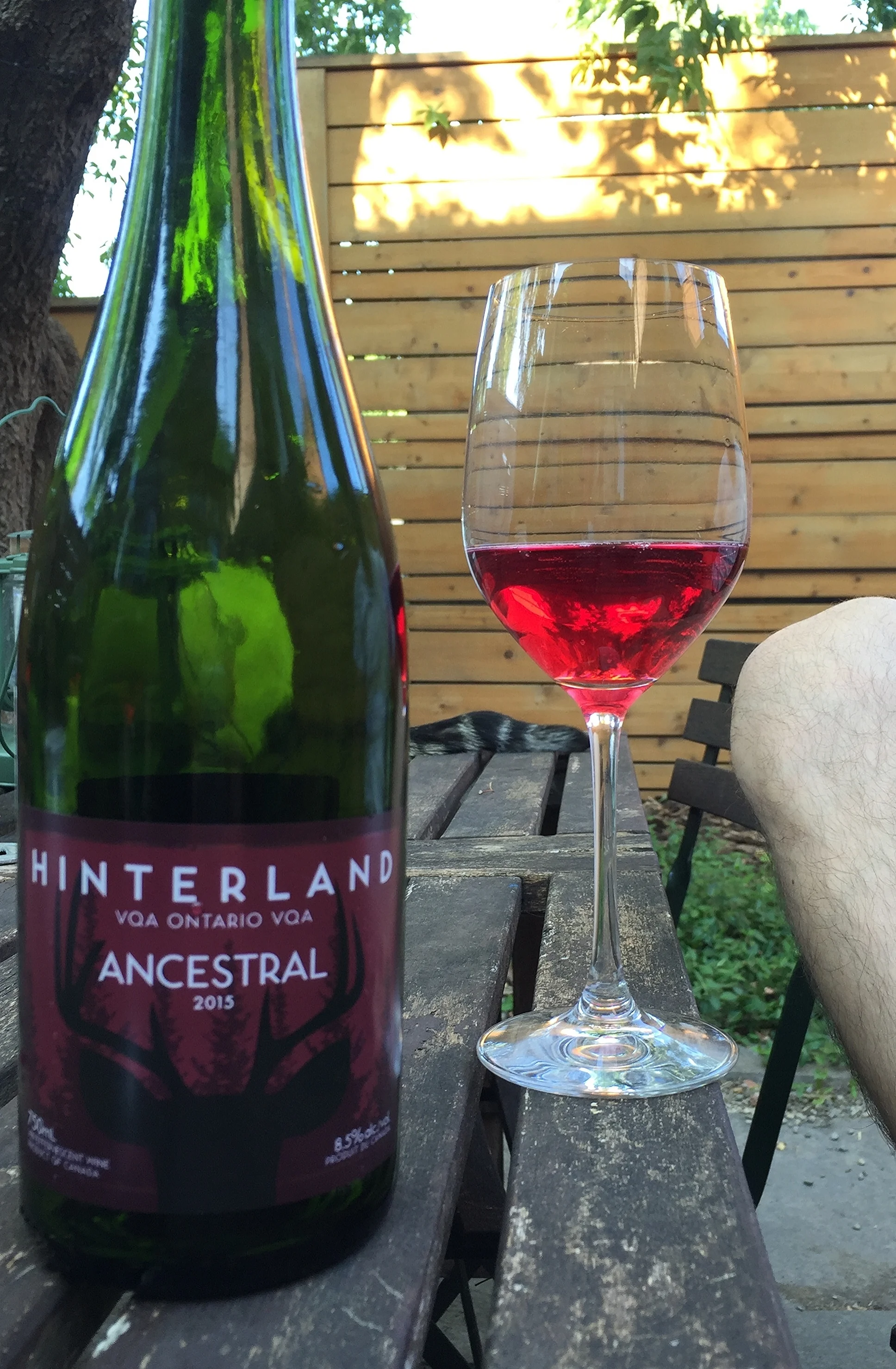 Hinterland Ancestral 2015 review