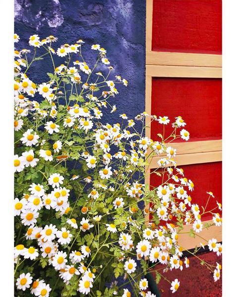 Screen Shot 2018-06-29 at 10.19.51 AM.png