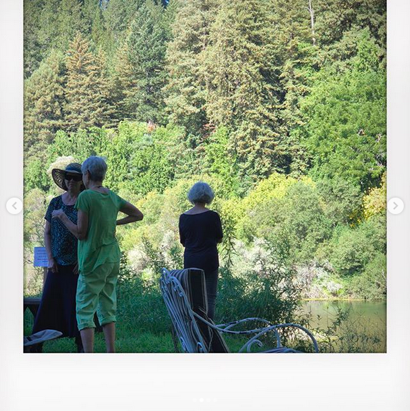 A handful of people mingling outside on a sunny day. Jane looking out over the lake against a backdrop of bright green trees.