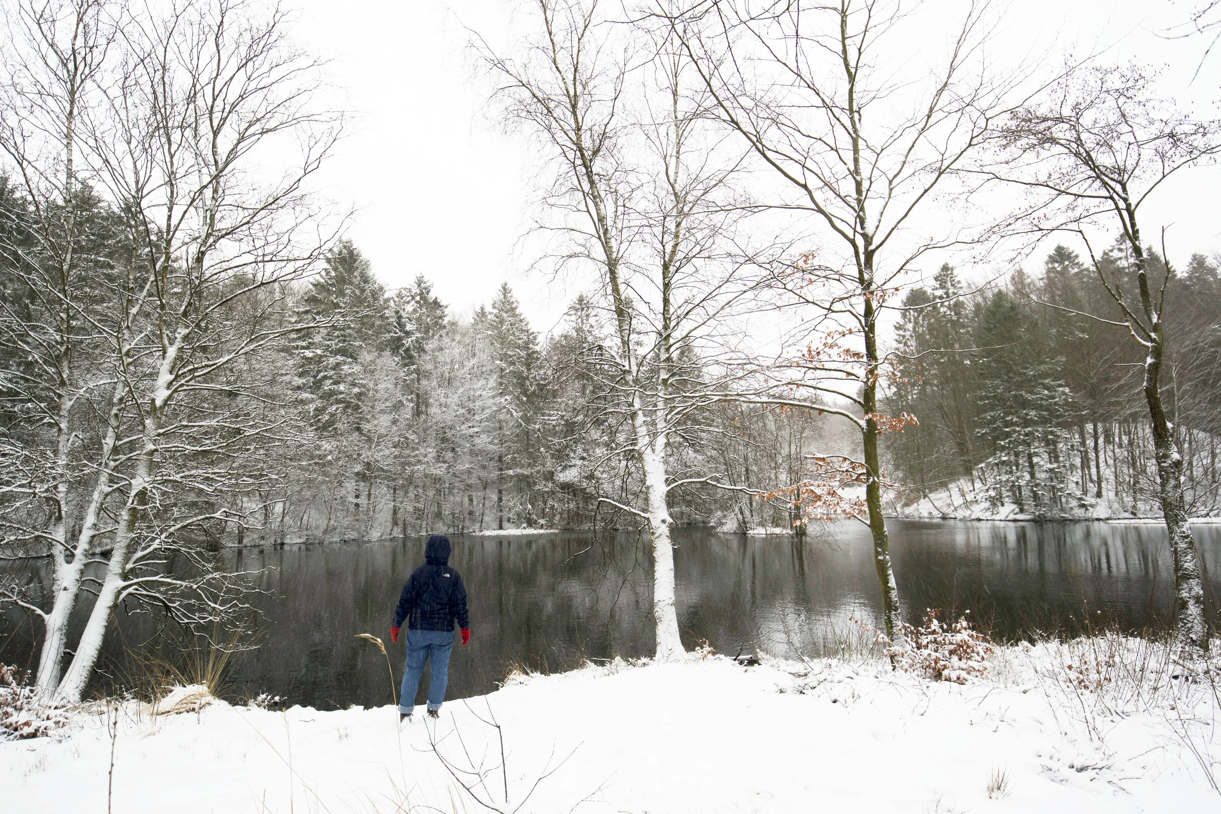                            Healing Powers of Walking: Bodies and Freedom