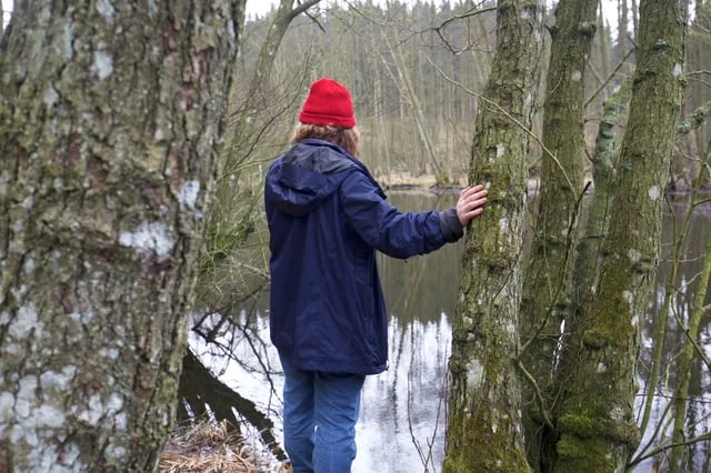 Tolne Gjæstgivergaard Artist Residency - Trailer