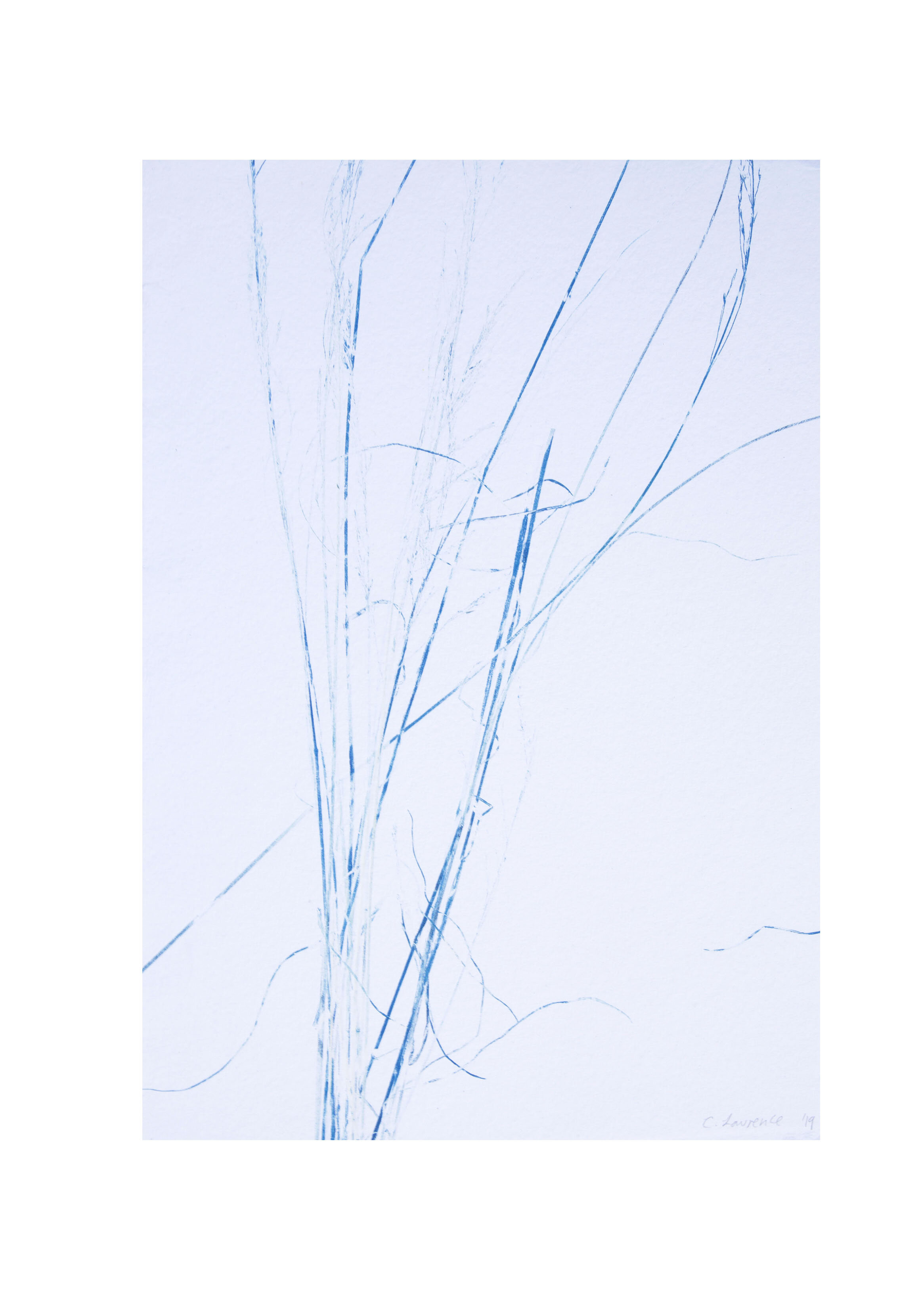 Plants of Sweden III