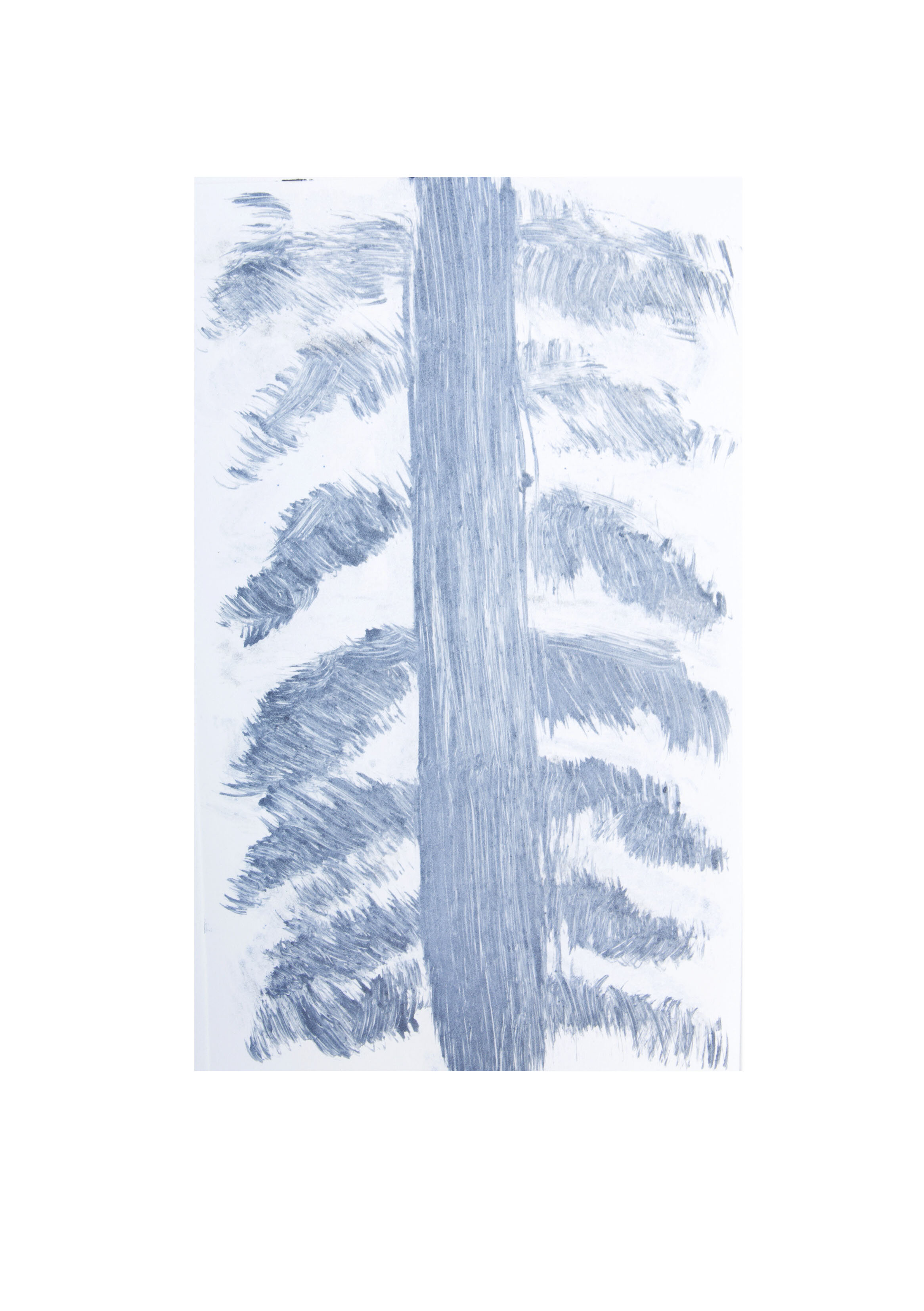 Standing Tall As Trees 