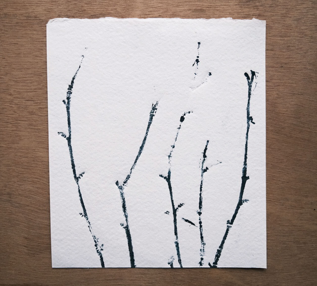 Family of Five Twigs