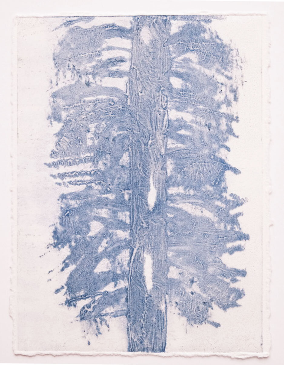 Standing Tall As Trees II