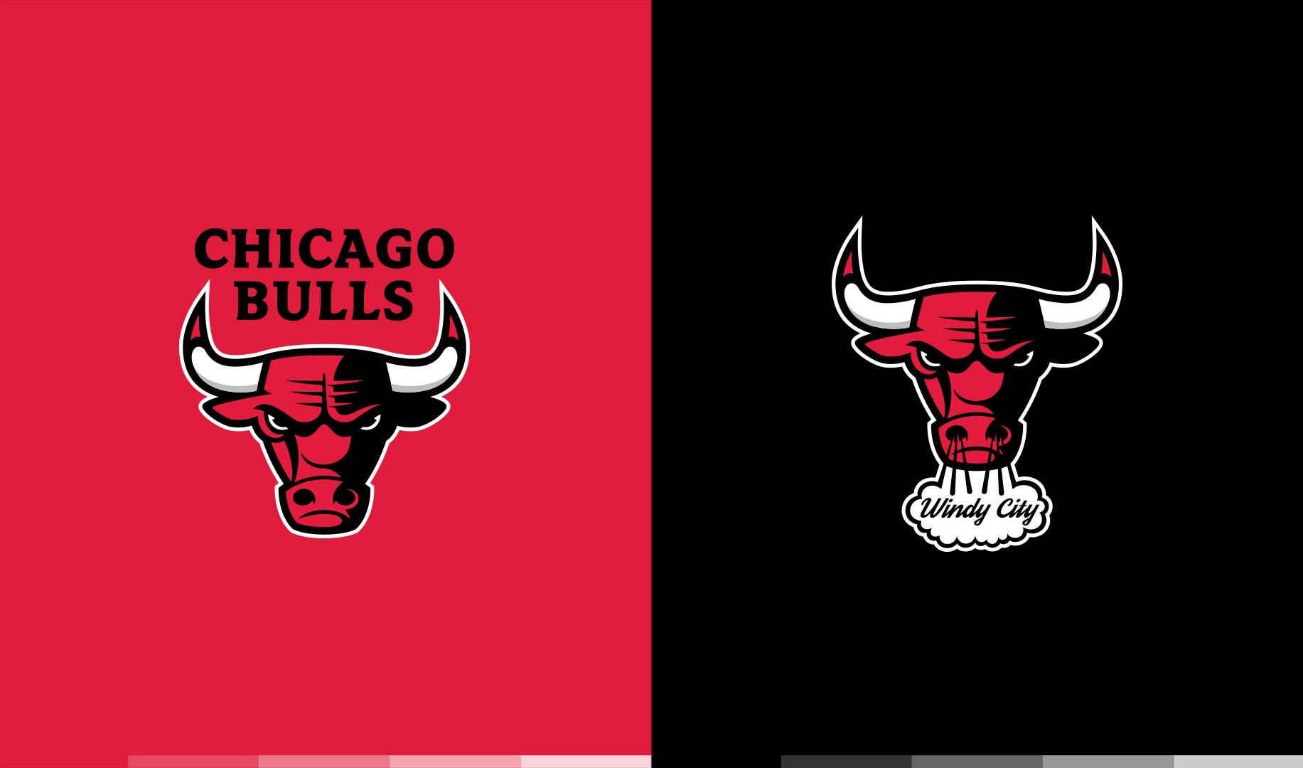 bulls_color.jpg