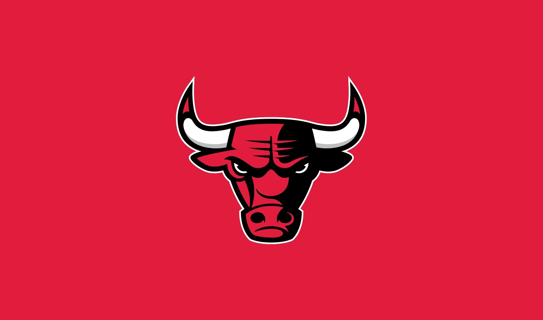 bulls_logo.jpg
