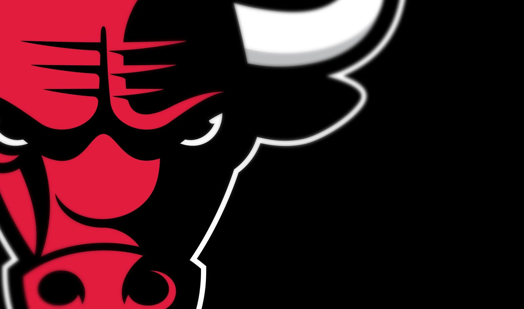 bulls_zoom.jpg