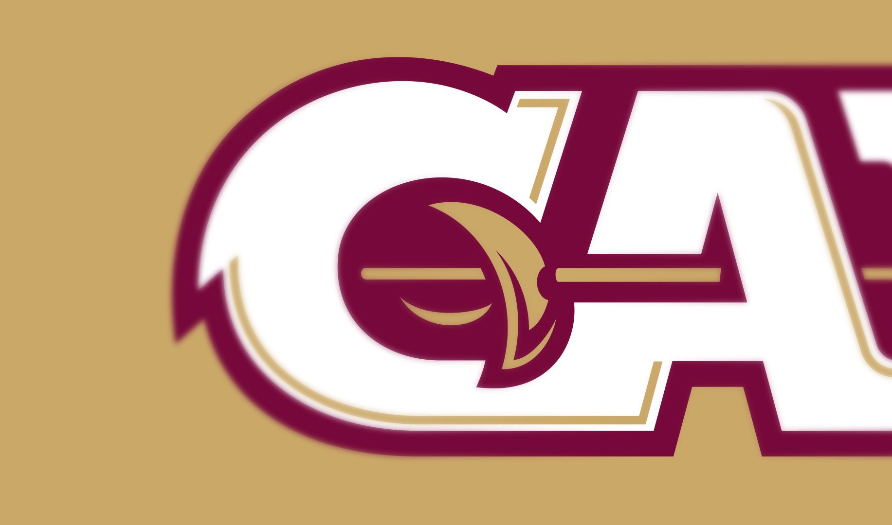 cavs_zoom.jpg