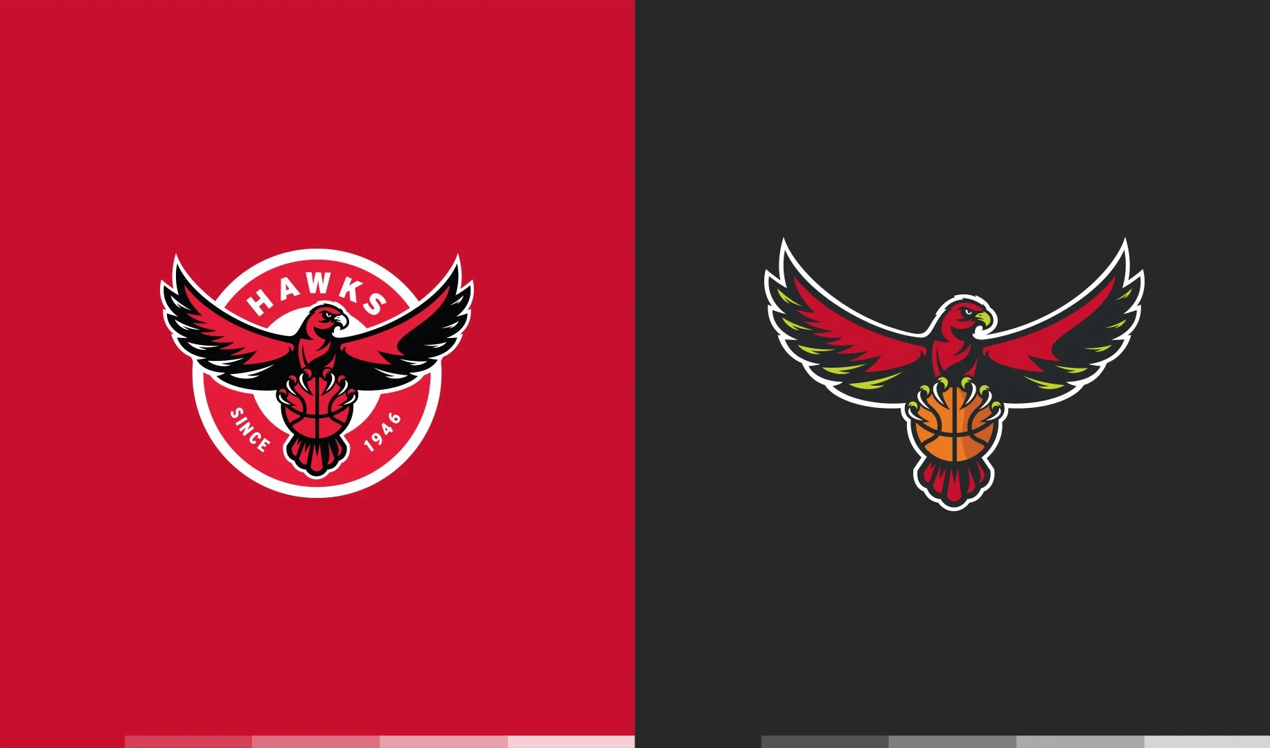 hawks_color.jpg