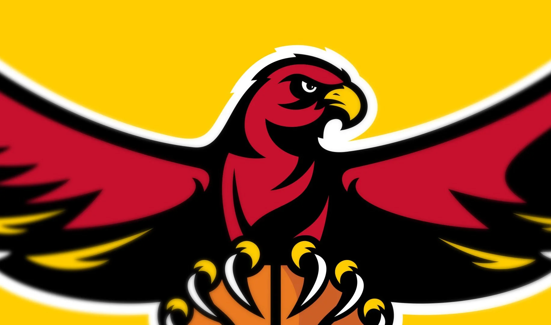 hawks_zoom.jpg