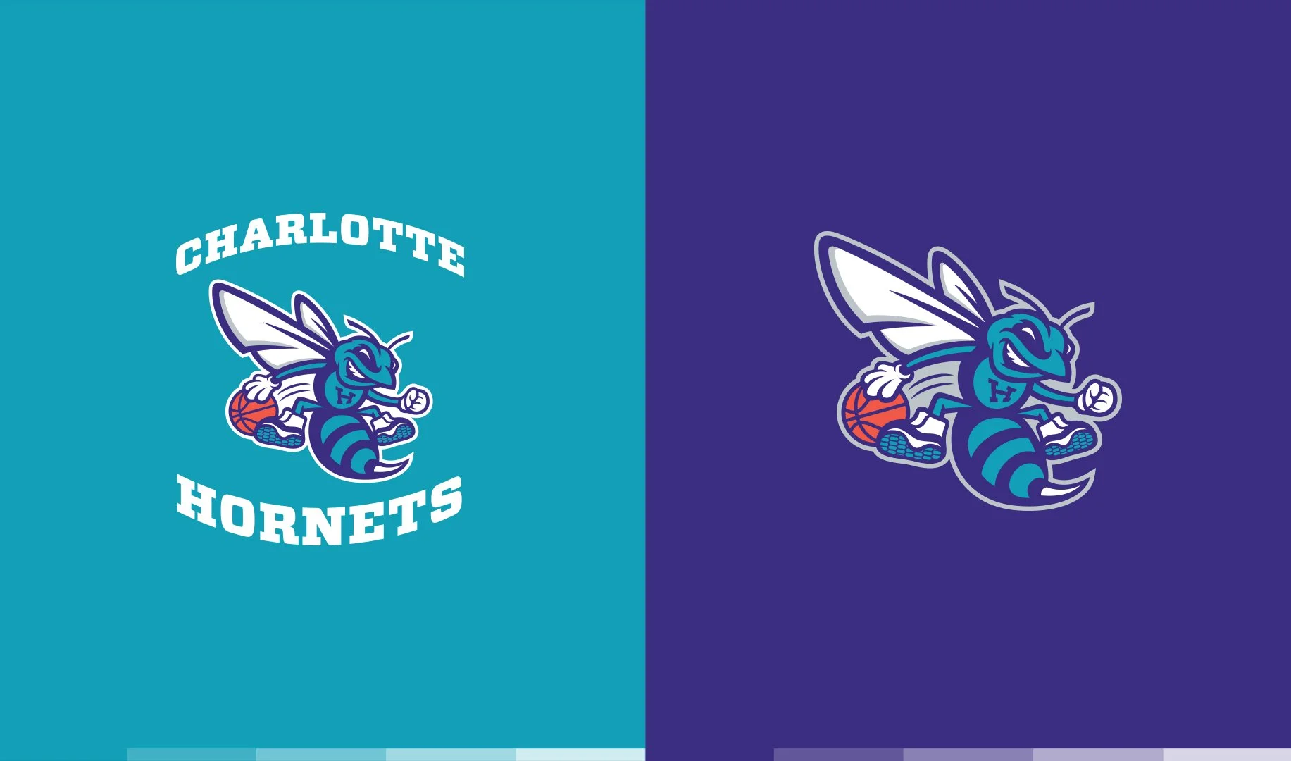 hornets_color.jpg