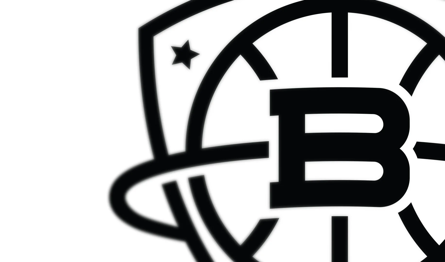 nets_zoom.jpg