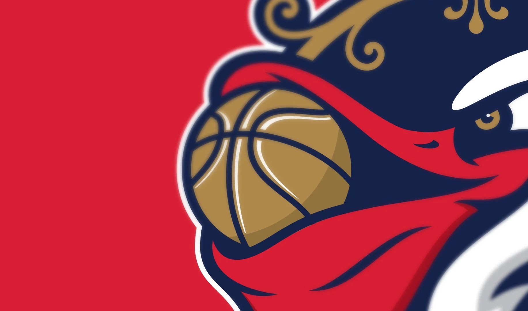 pelicans_zoom.jpg