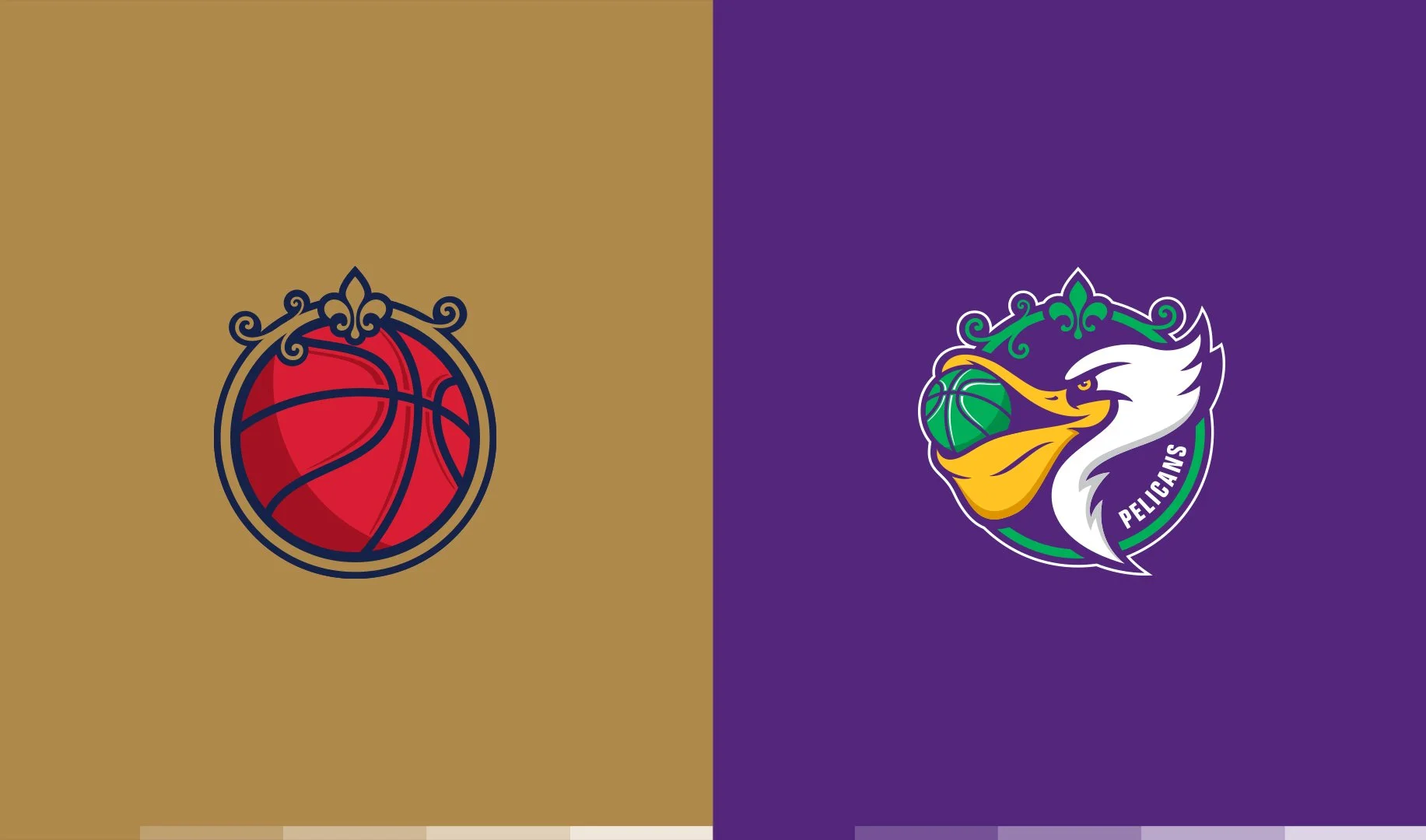 pelicans_color.jpg