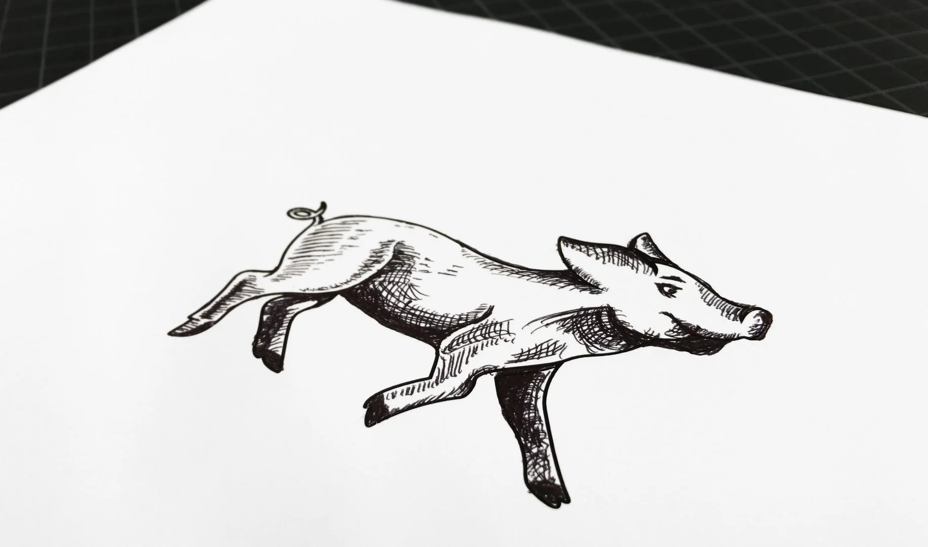 committed_pig_sketch.jpg