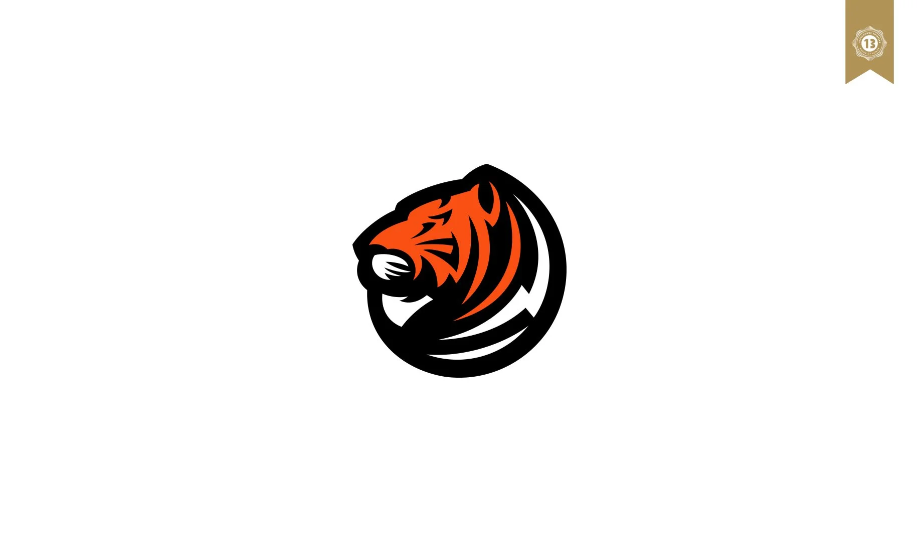 tiger.jpg