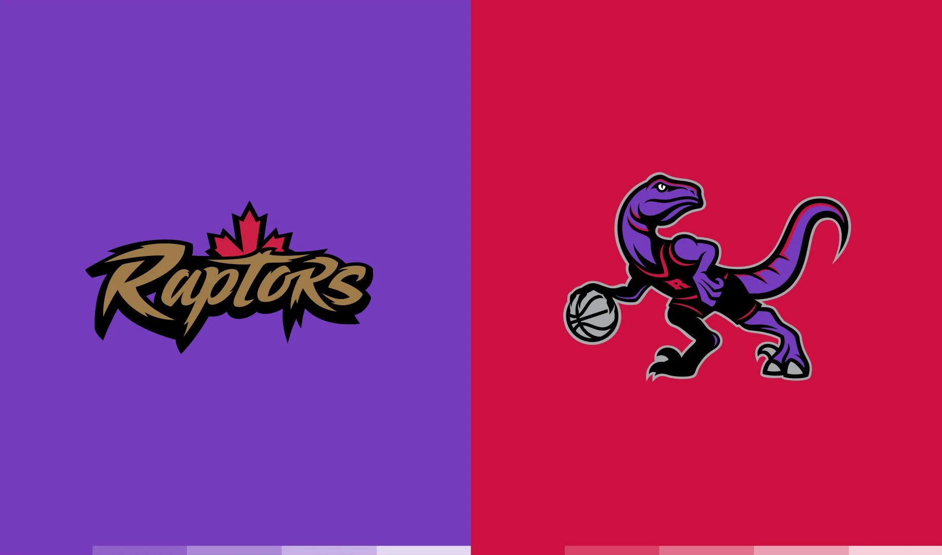 raptors_color.jpg