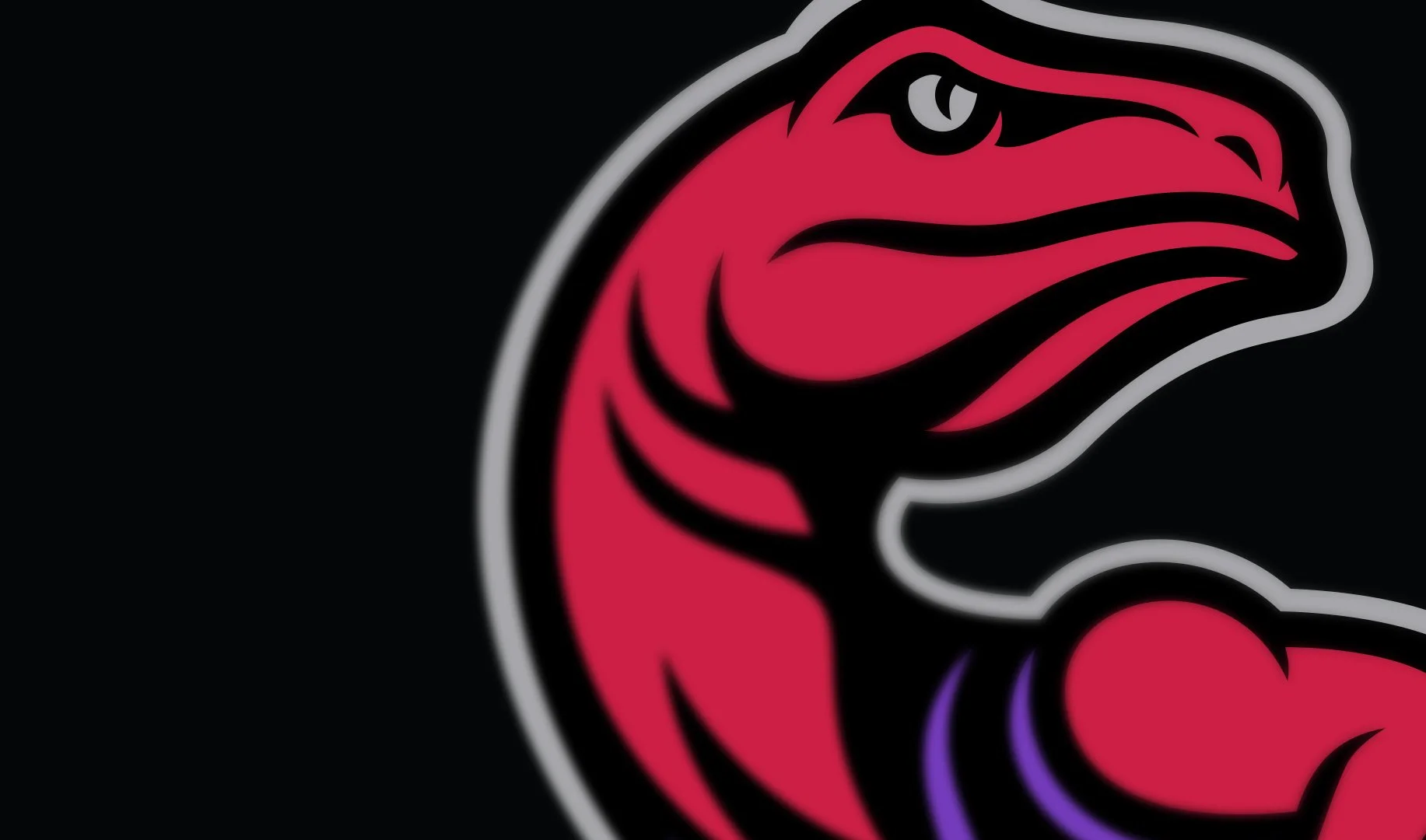 raptors_zoom.jpg