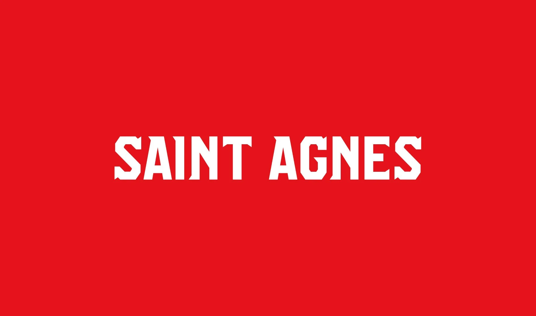saint_agnes_wordmark_01.jpg