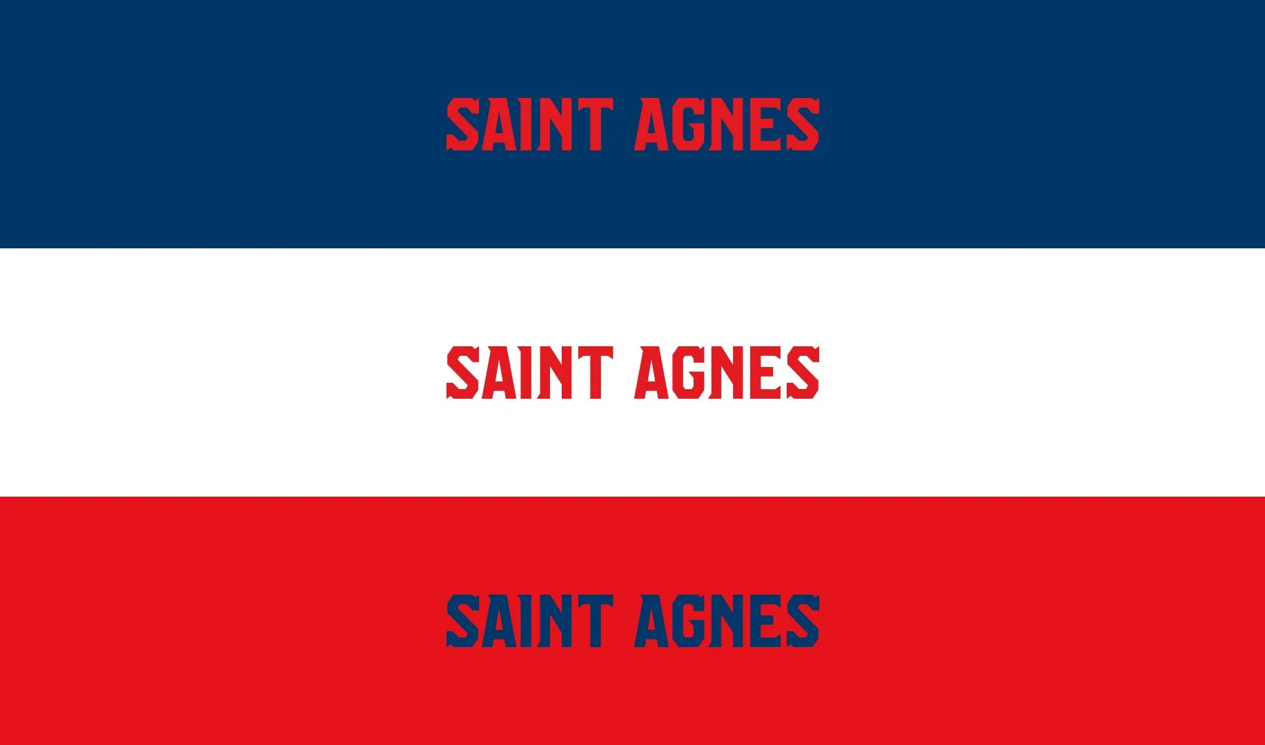 saint_agnes_wordmark_02.jpg