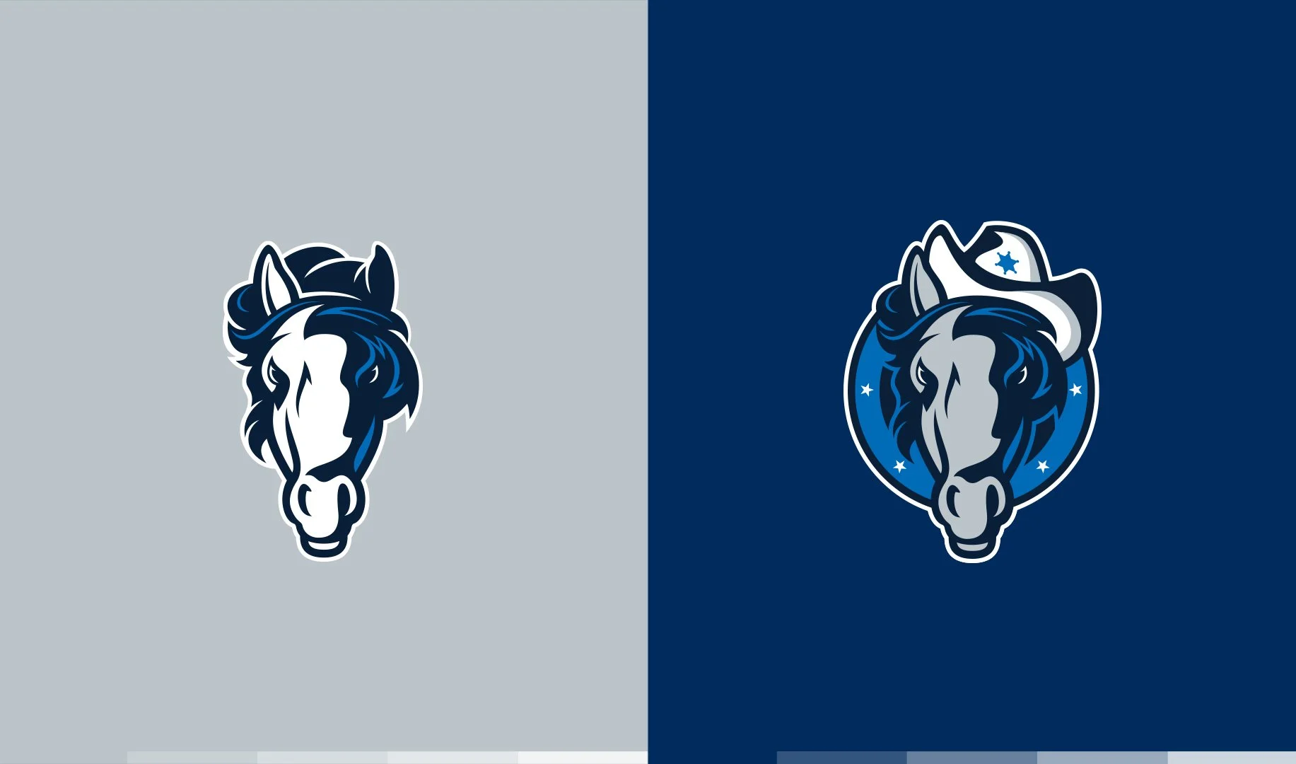 mavs_color.jpg
