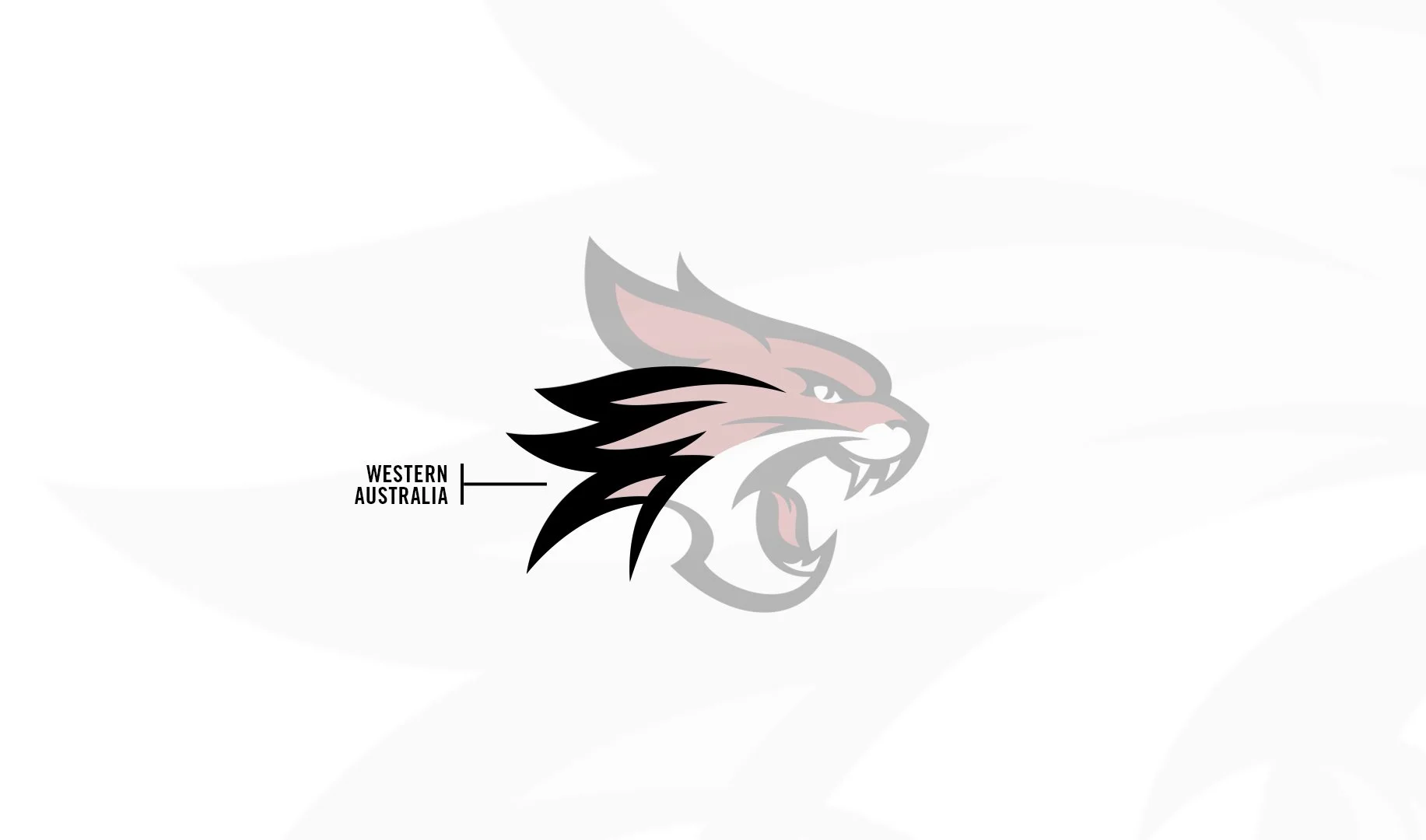 wildcats_wa.jpg