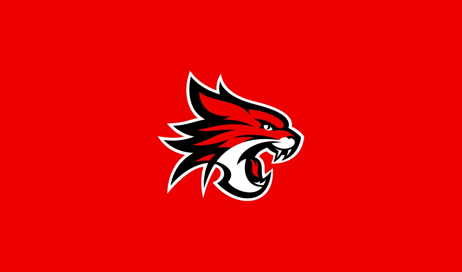 wildcats_logo.jpg