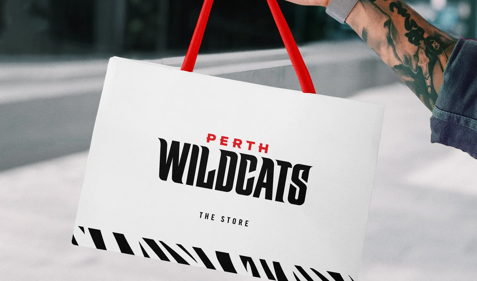wildcats_bag.jpg