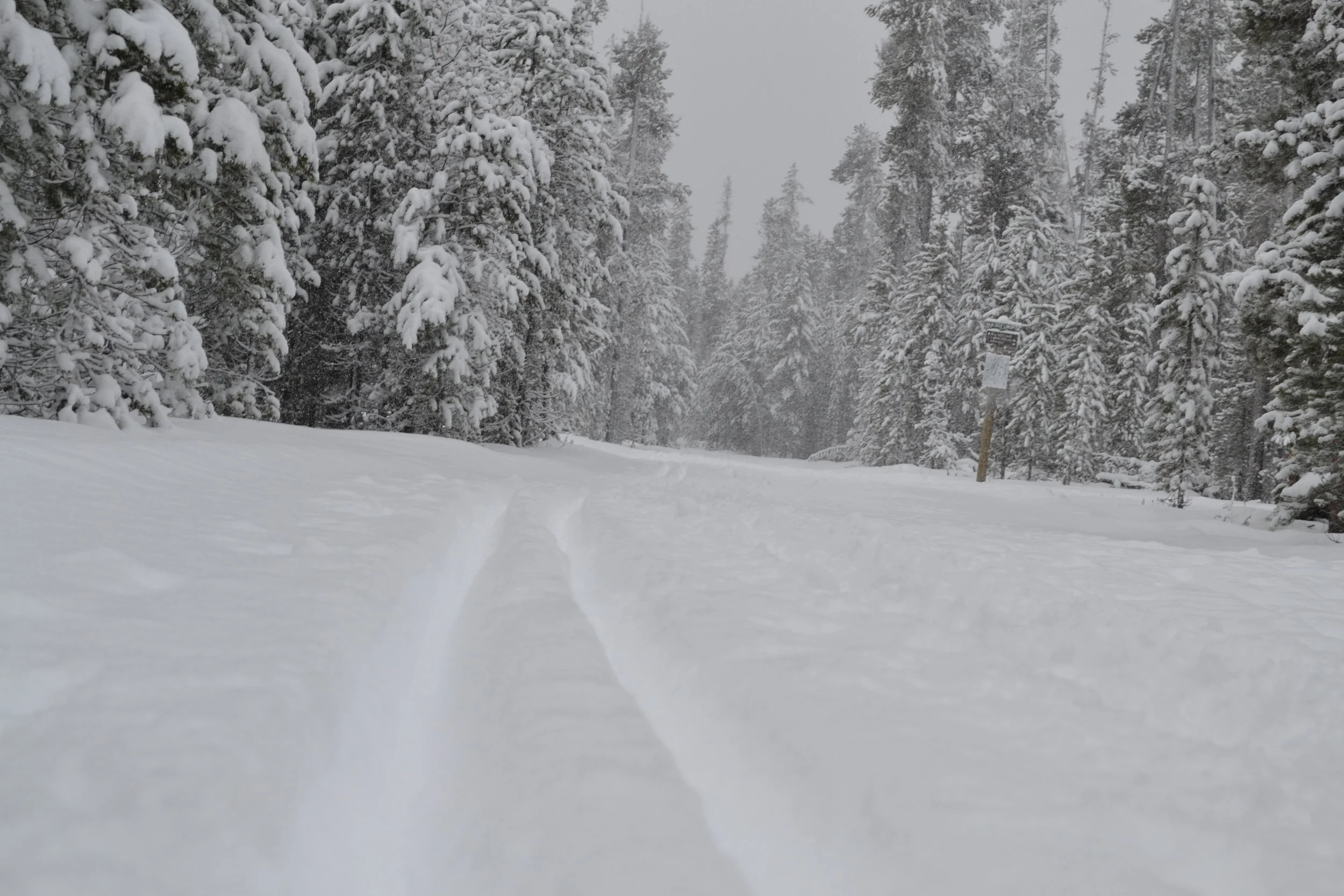 DSC_0402.JPG