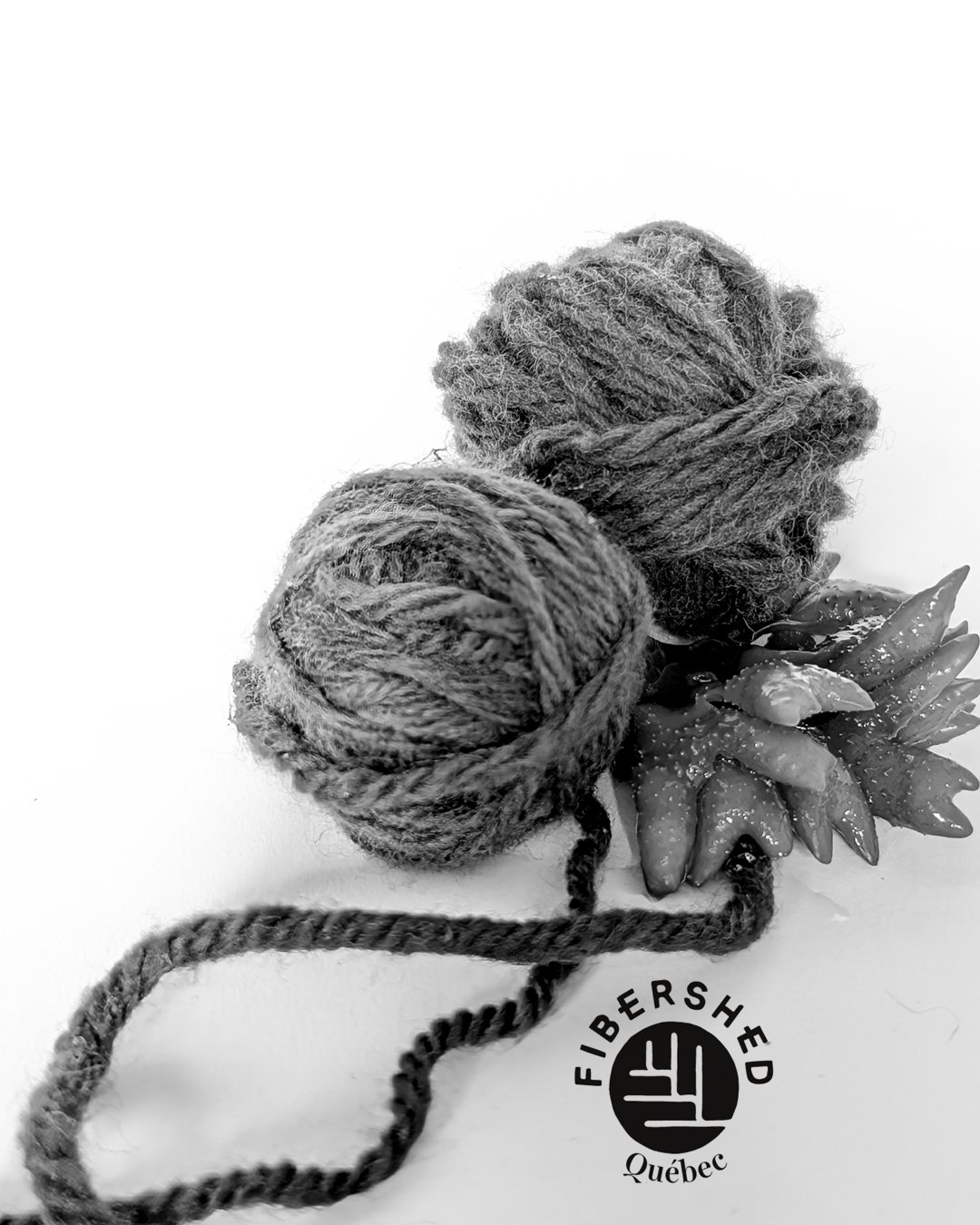 CONFÉRENCE FIBERSHED QUÉBEC AU CTCM