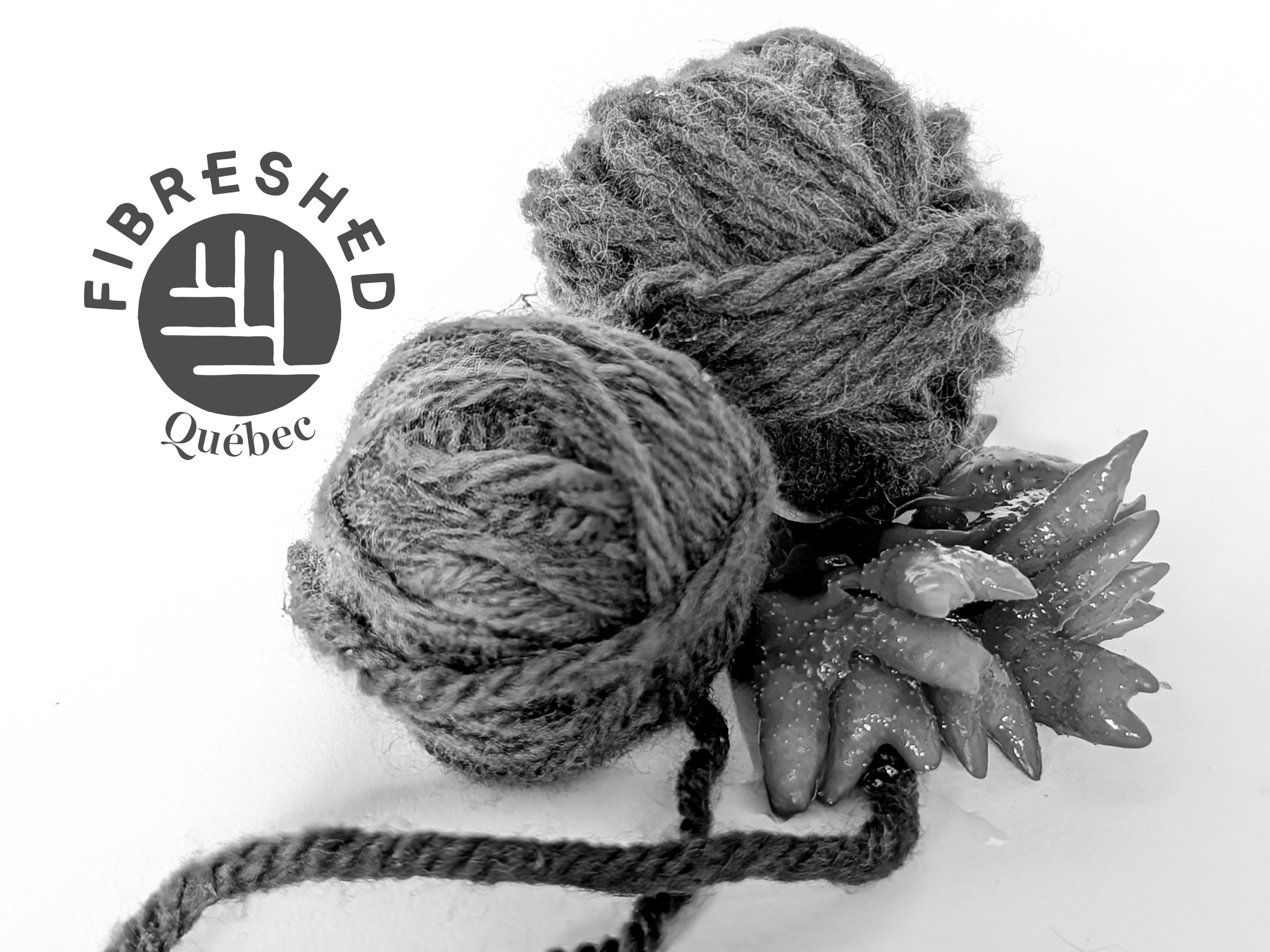 CONFÉRENCE FIBRESHED QUÉBEC AU CTCM