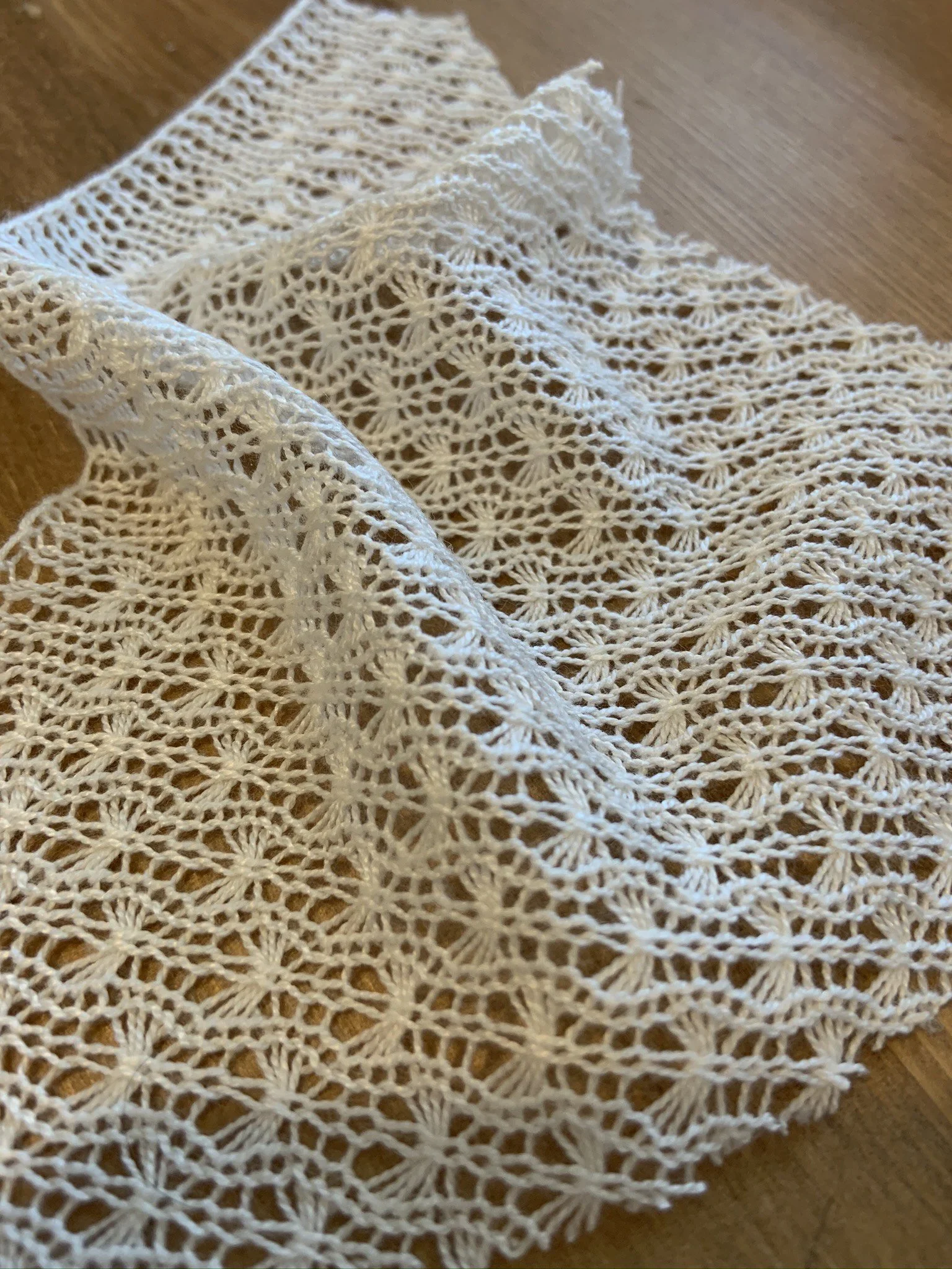 image_123650291 2.JPG