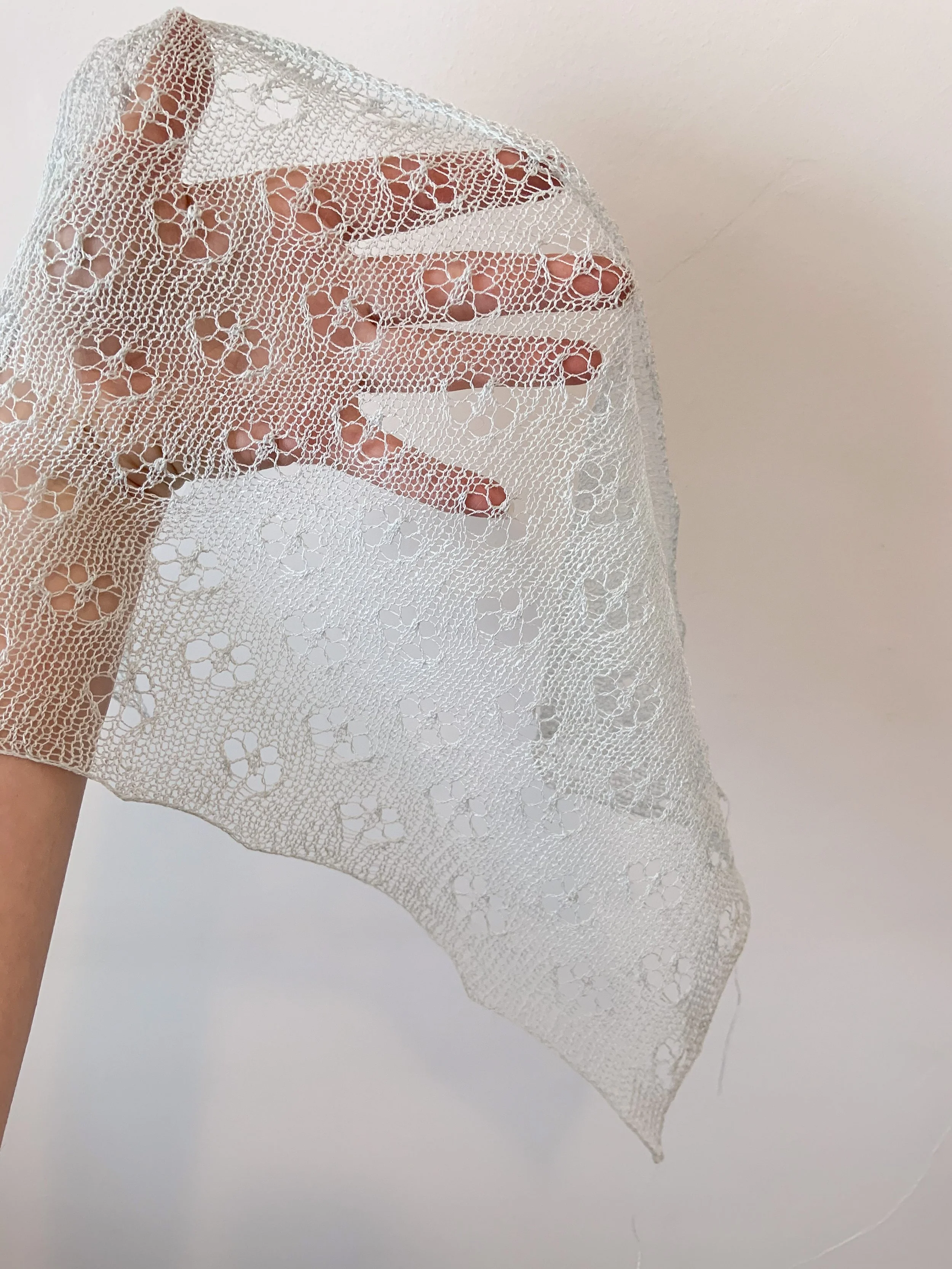 image_123650291 3.JPG