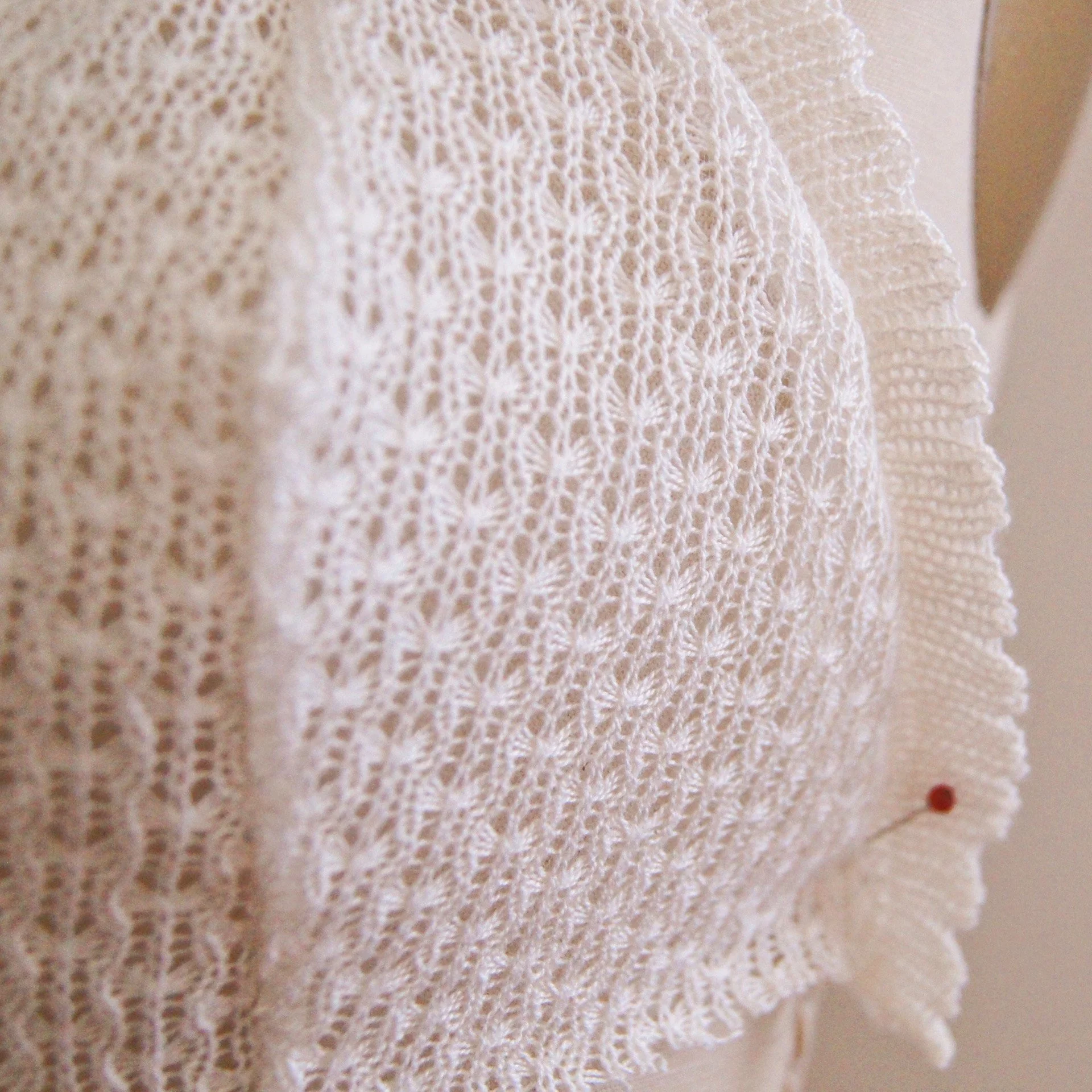 image_123650291 4.JPG