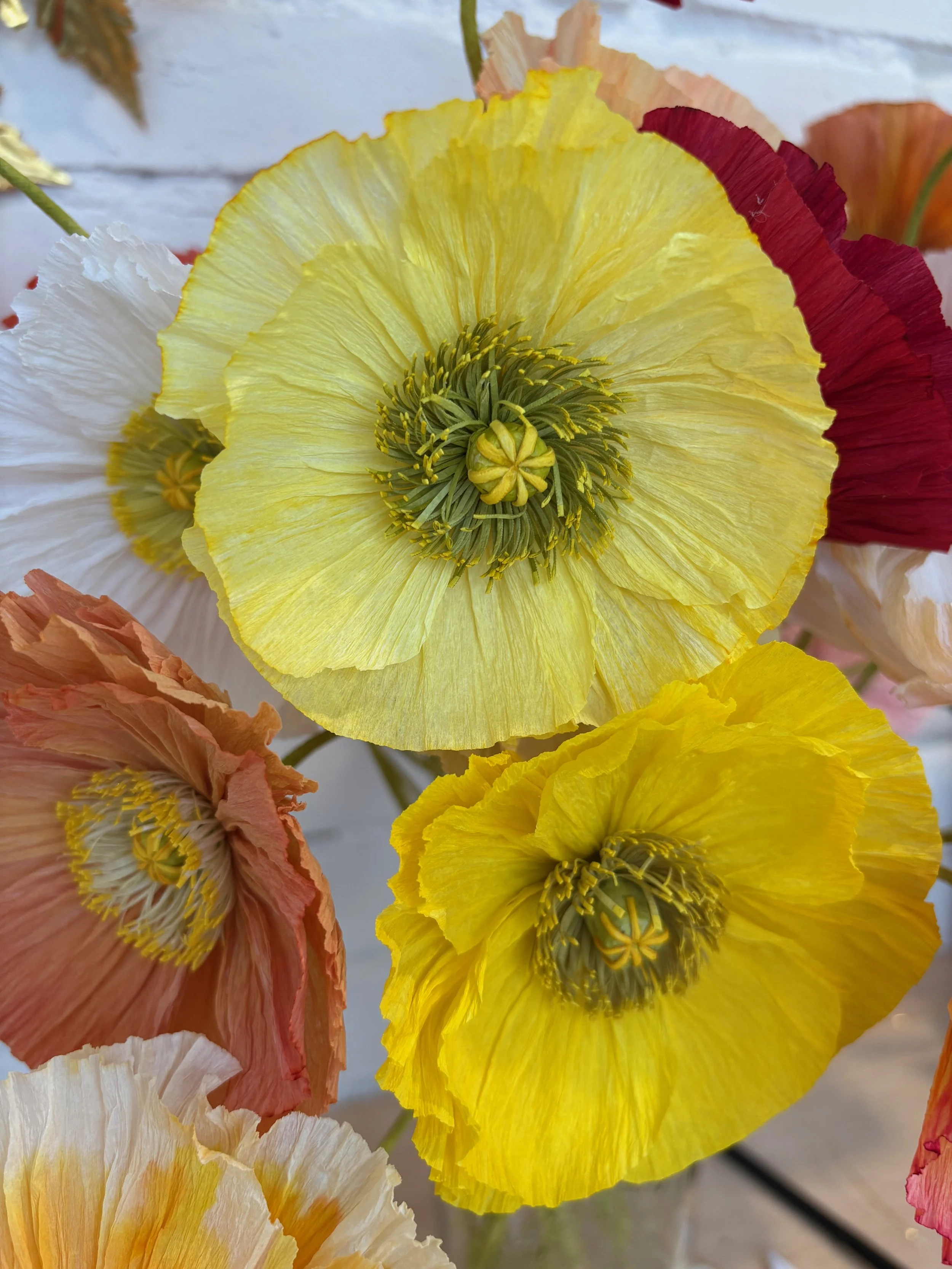 Paper poppy 4.jpeg