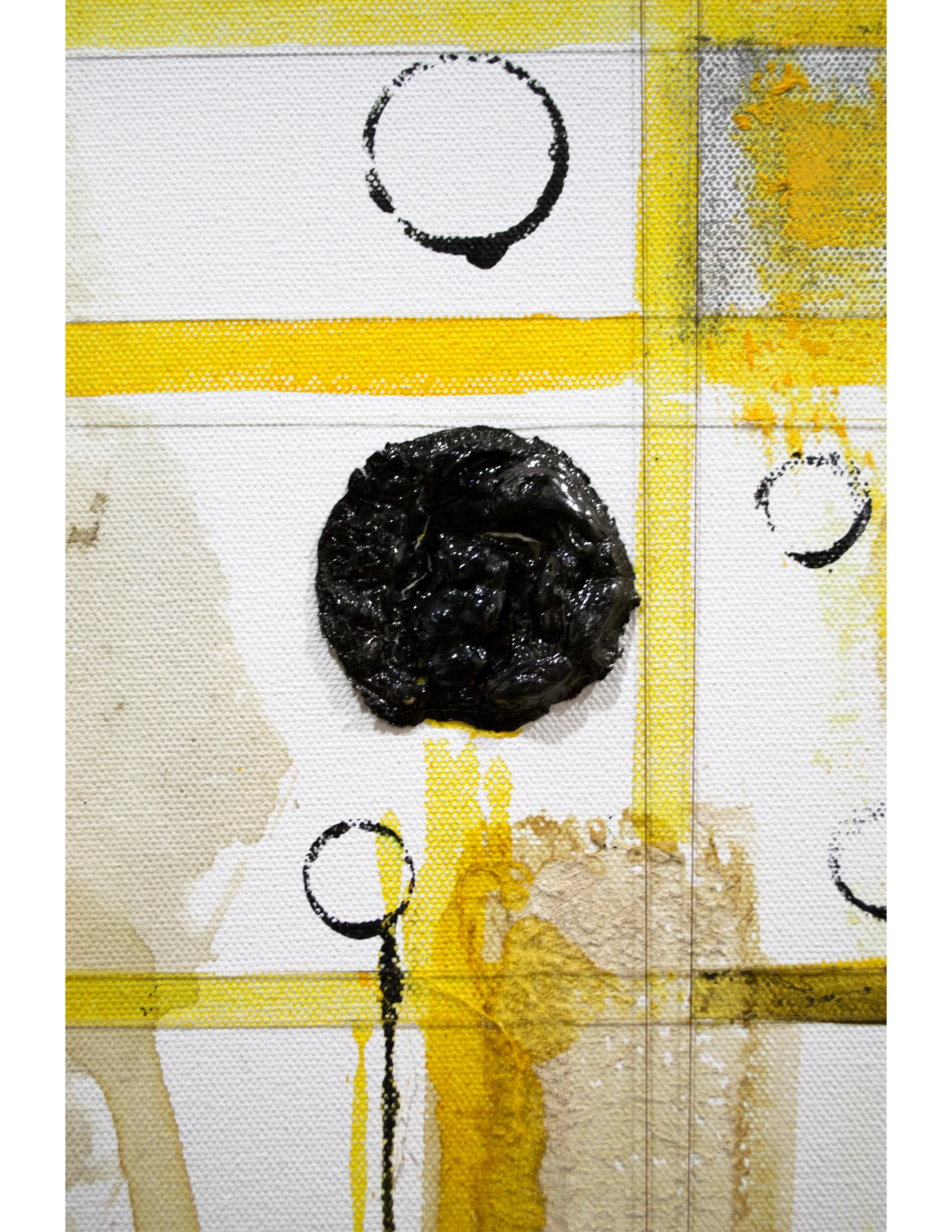 yelloe_Close_up2.jpg