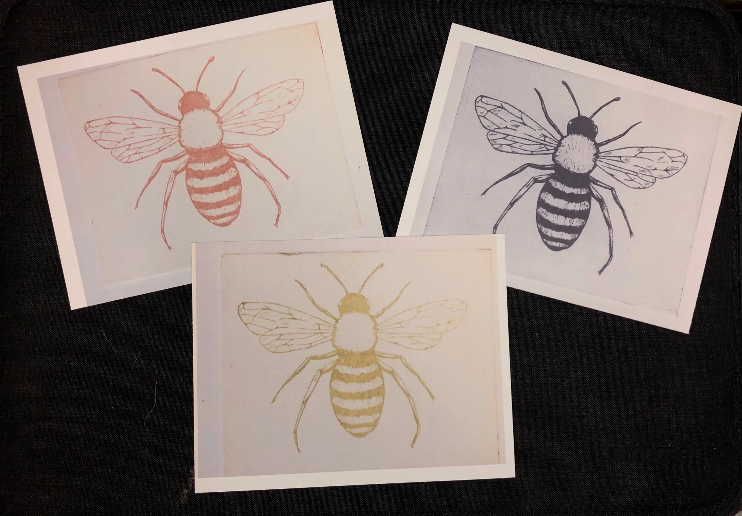 5BF4DC87-ECF9-4D52-868B-2CCB4B46A858