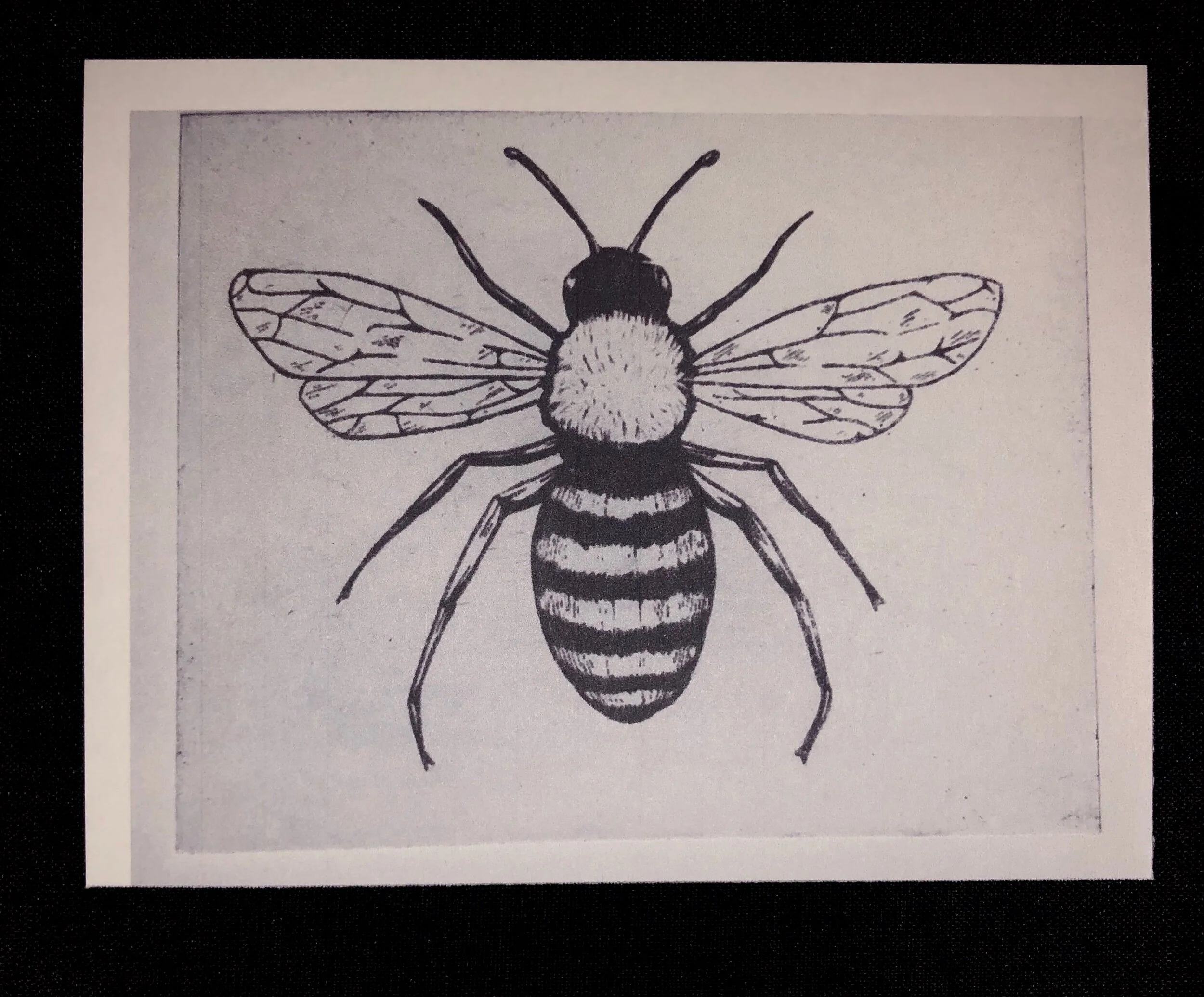 76055048-CD73-43B8-8F53-000899928C04