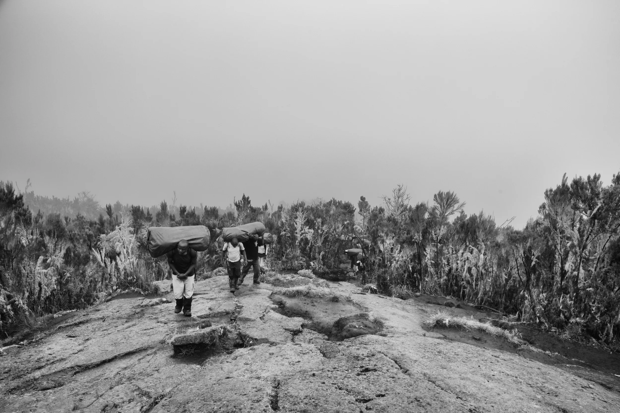 The resilient Tanzanian porters 