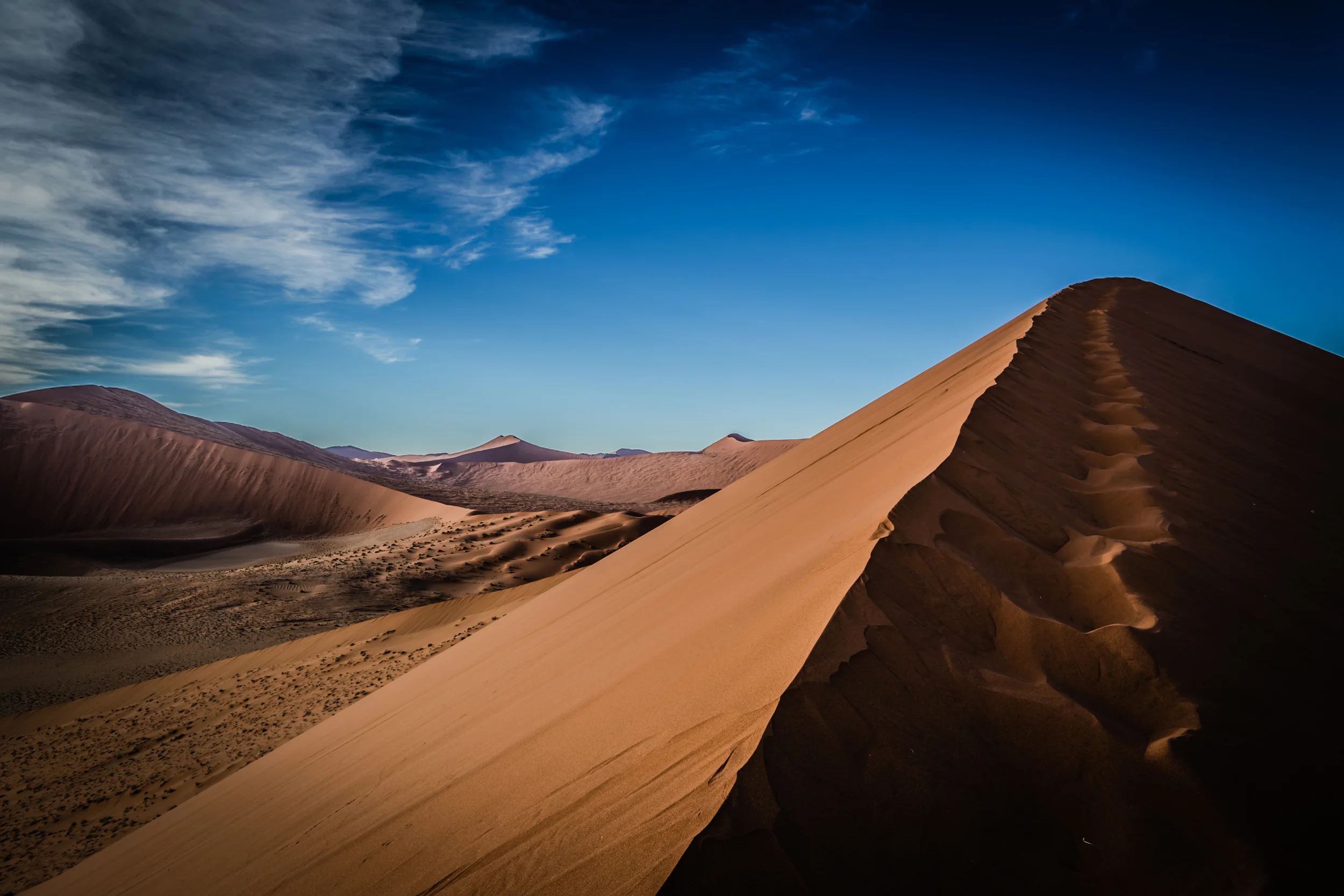 Near the apex of Dune 45