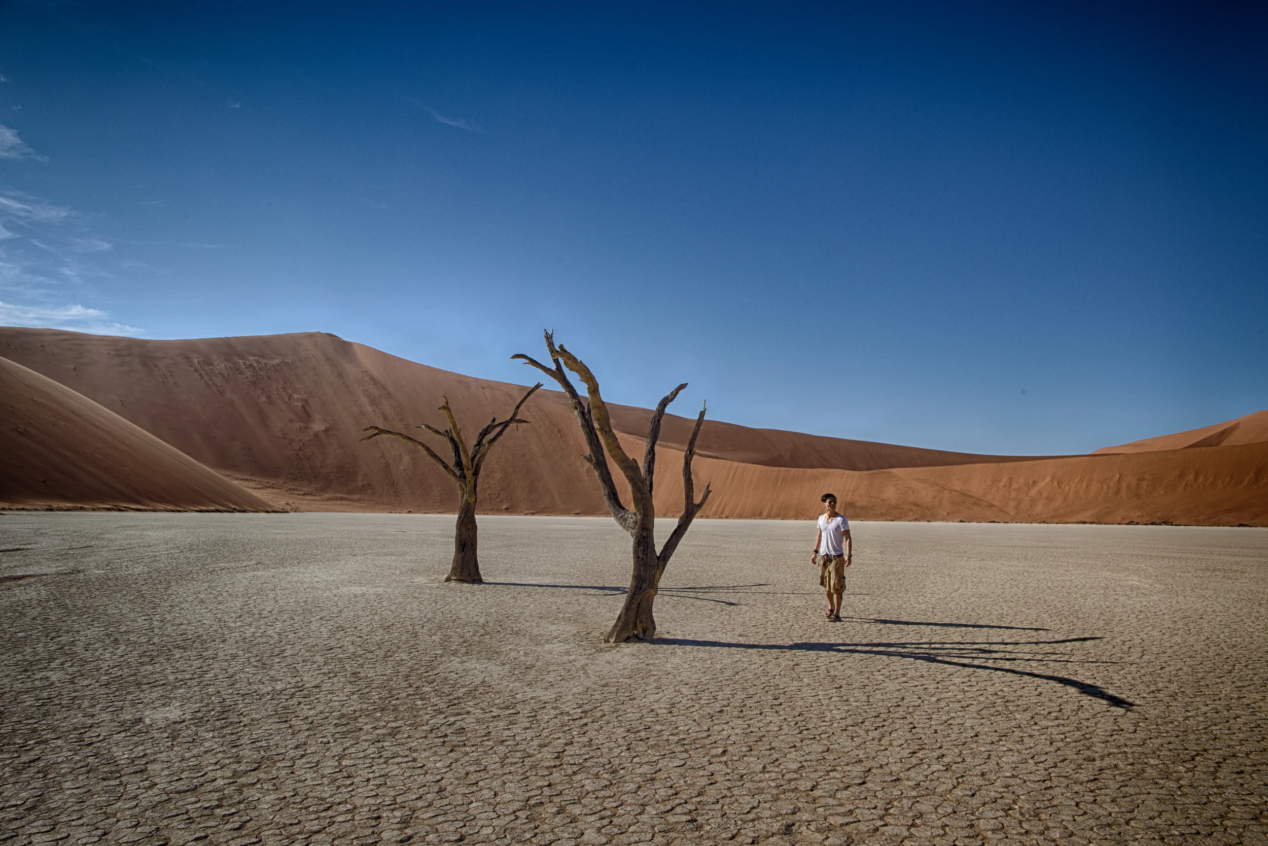 Parched Earth
