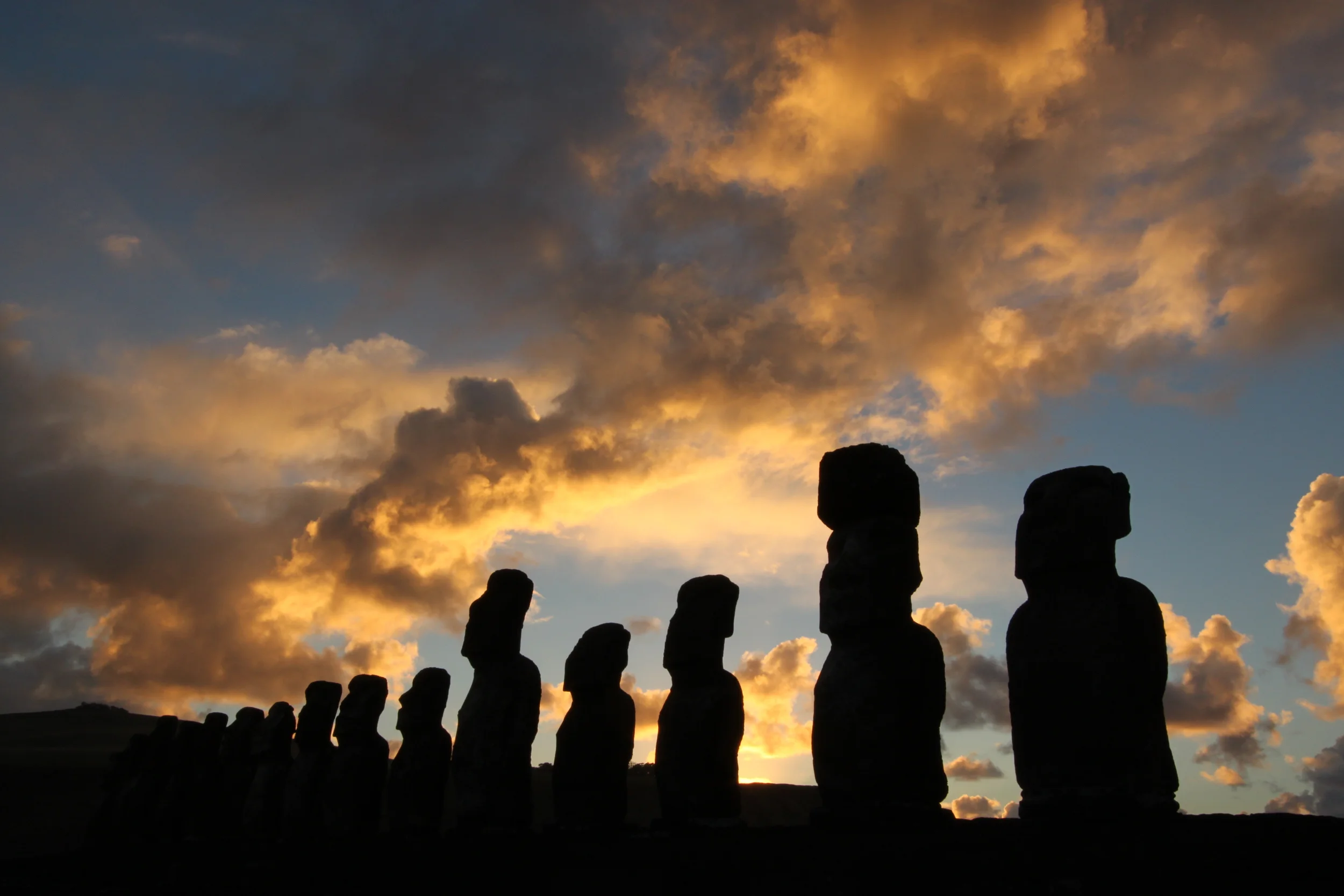 The Iconic Silhouettes