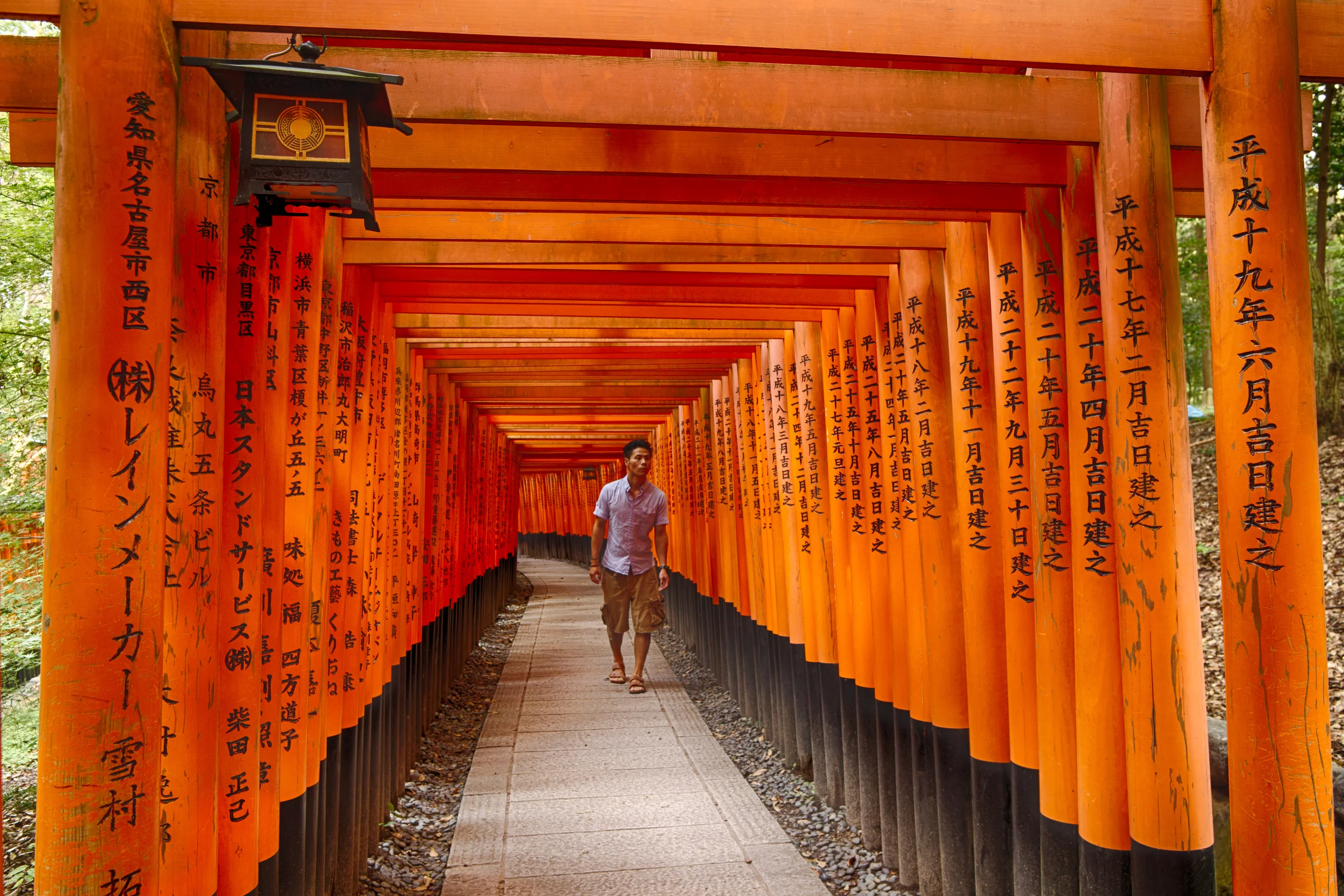 Through the Vermilion Gates